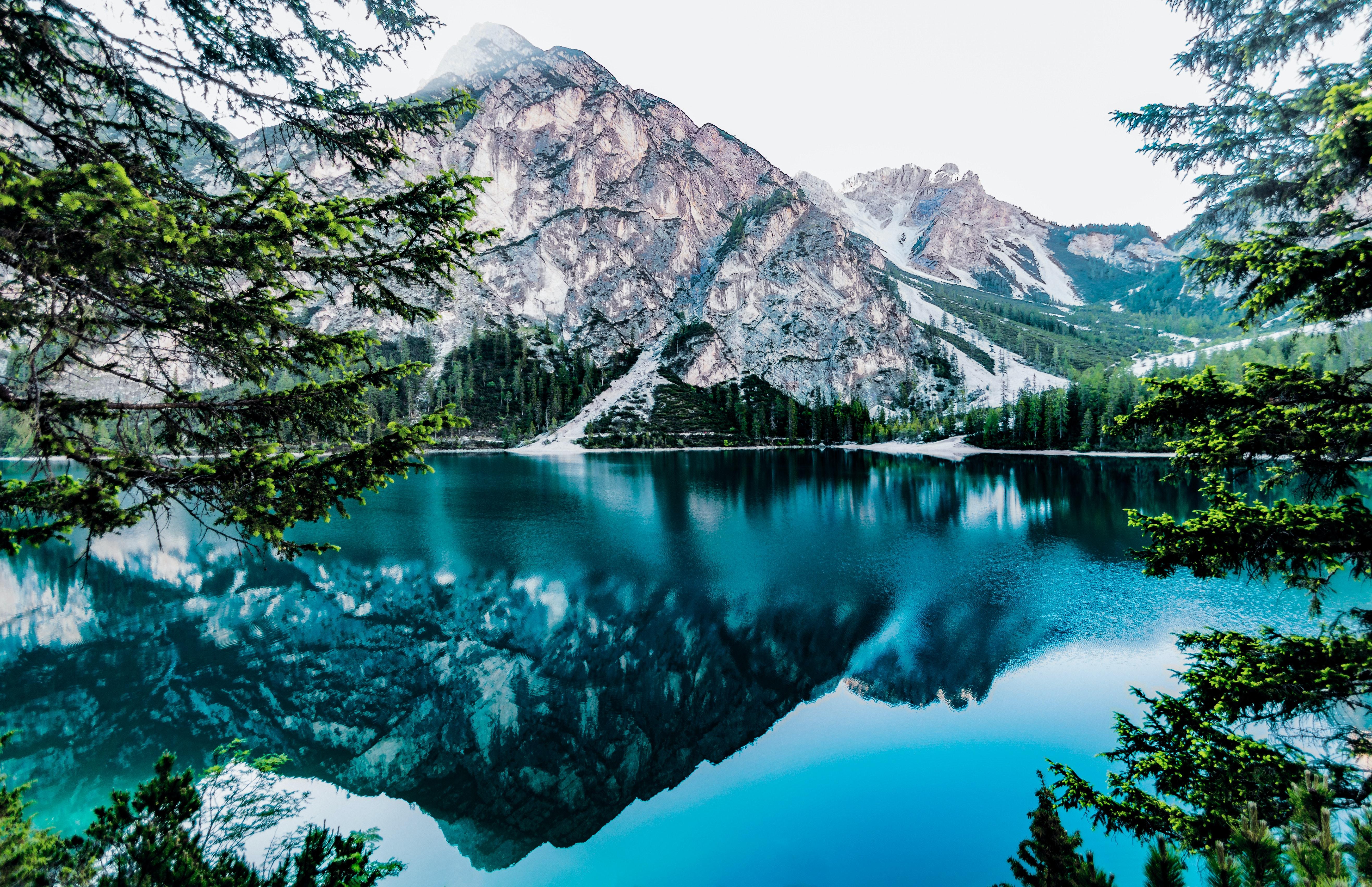 From Banff/Canmore: Moraine Lake, Lake Louise 1.5 hrs Each