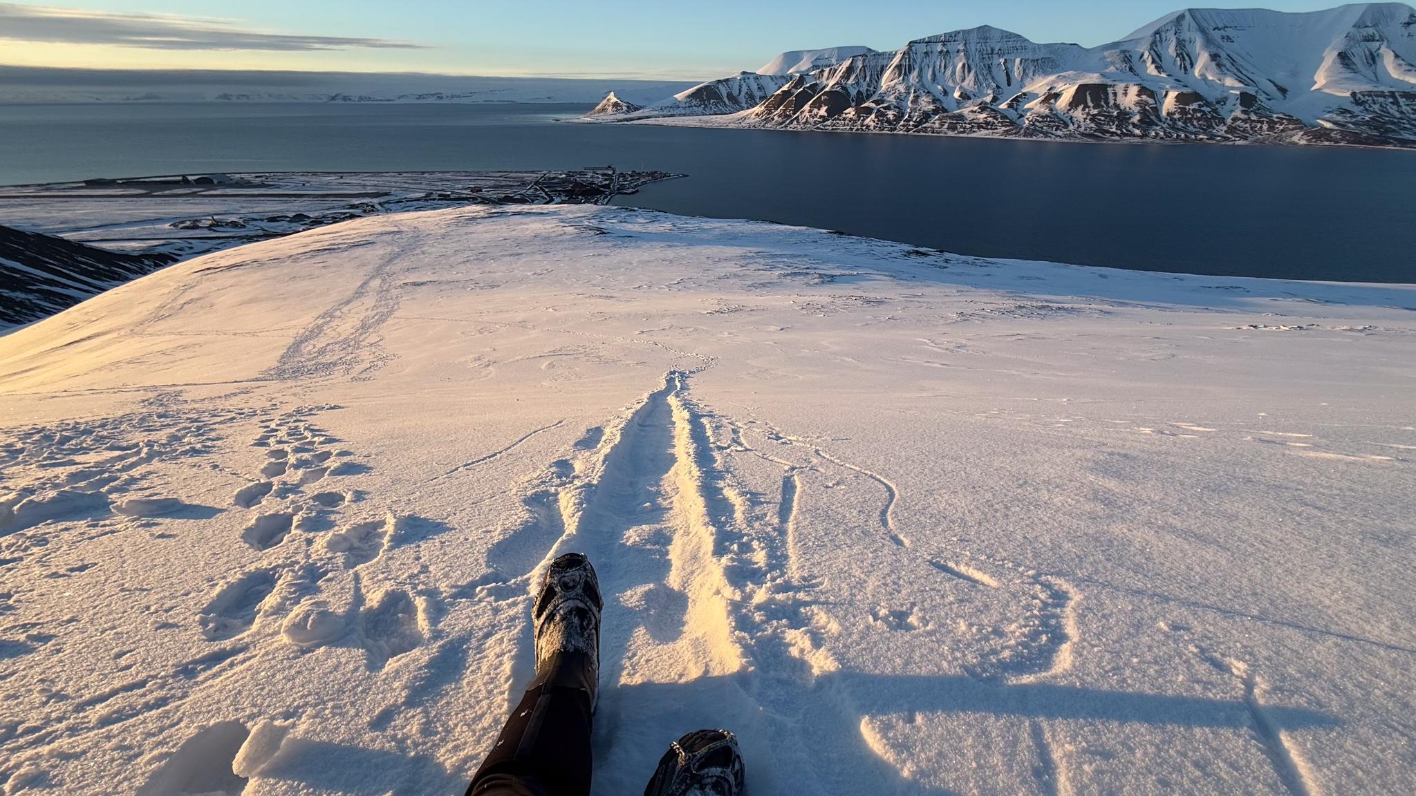 Midnight Sun Hike to Blomsterdalshøgda & Seed Vault Visit
