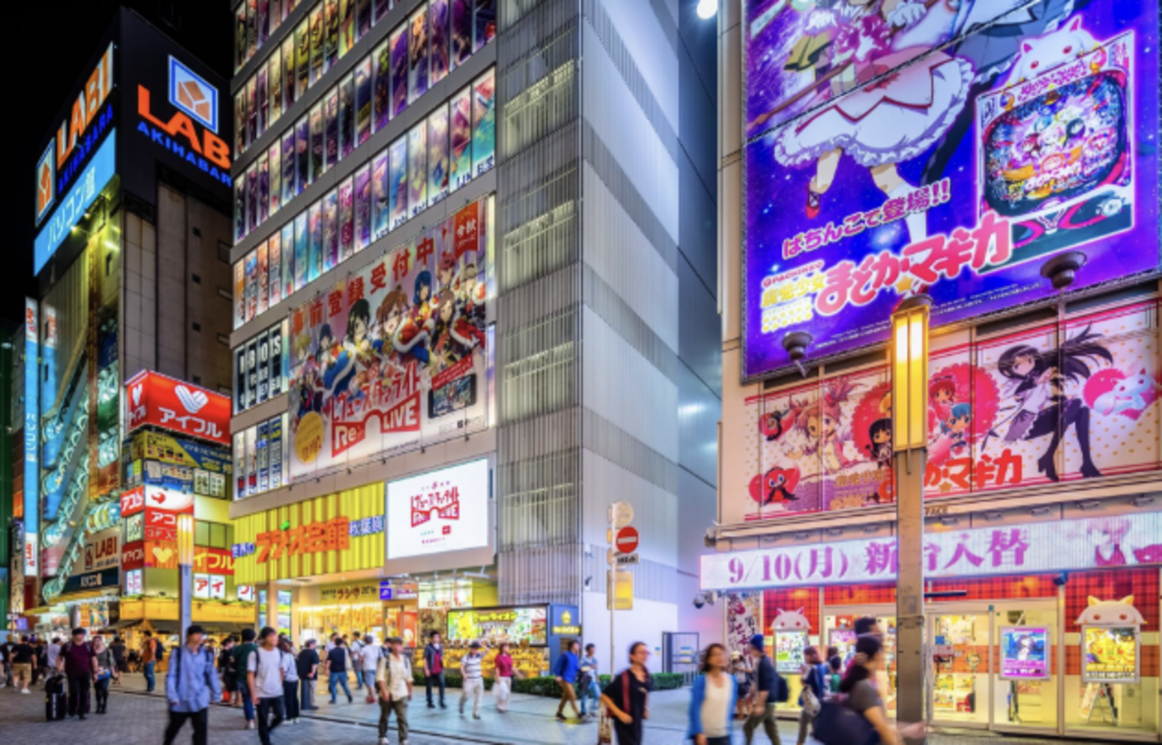Akihabara Anime Shopping Tour with Expert Guide