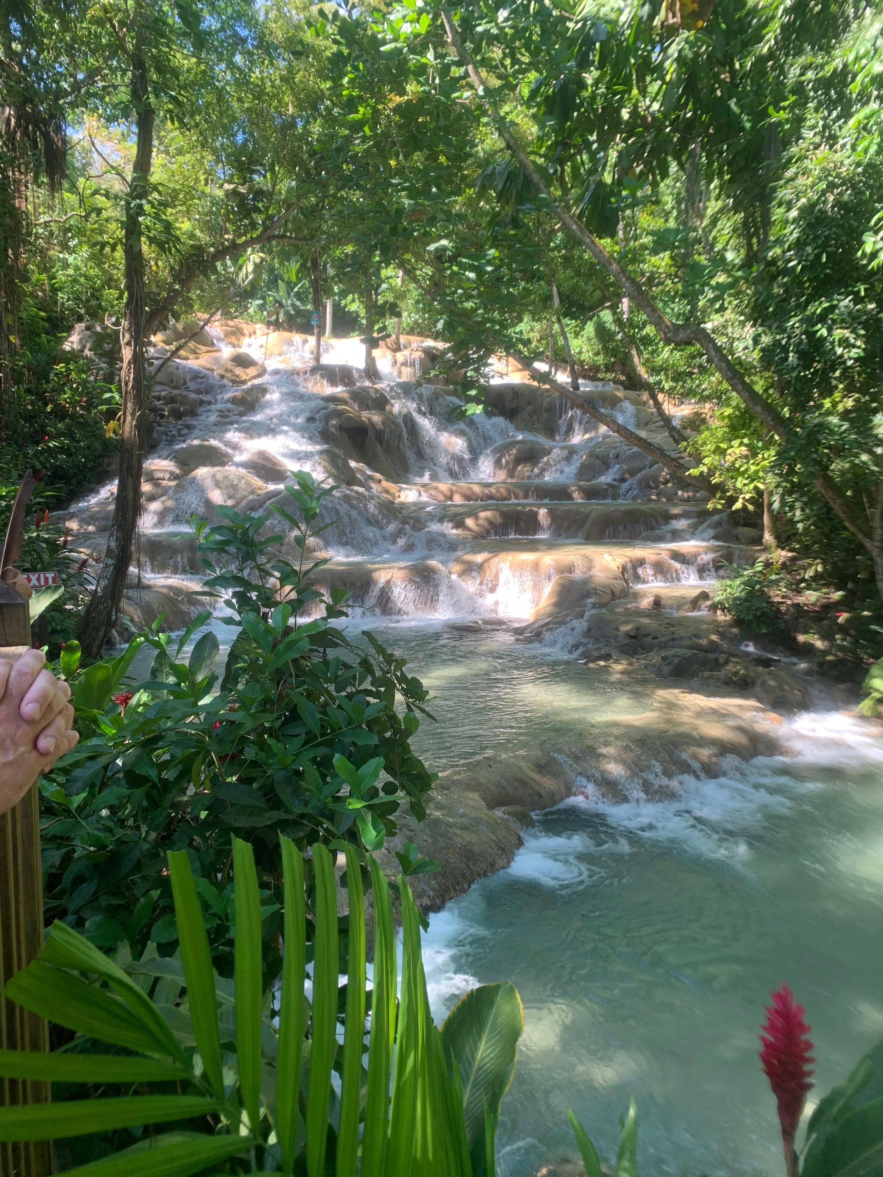 Private Dunn's River Falls Tour with Pickup