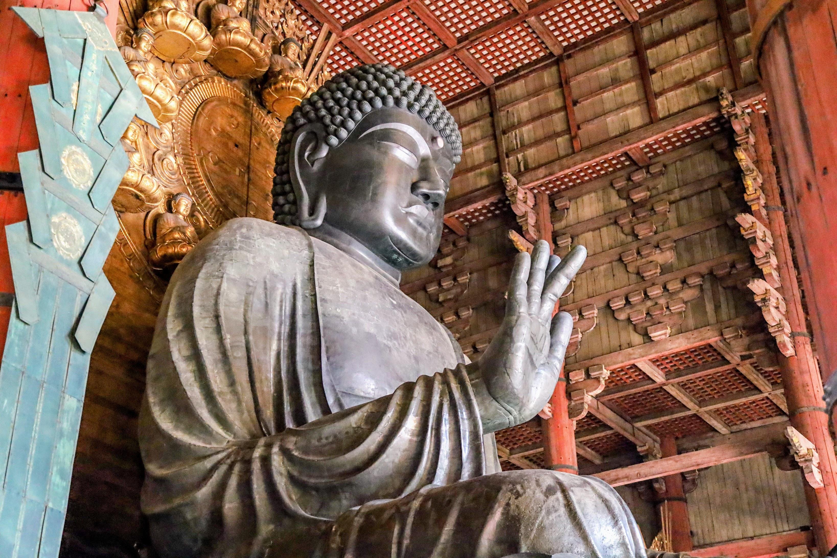 Nara Guided Half-Day Morning Tour from Kyoto