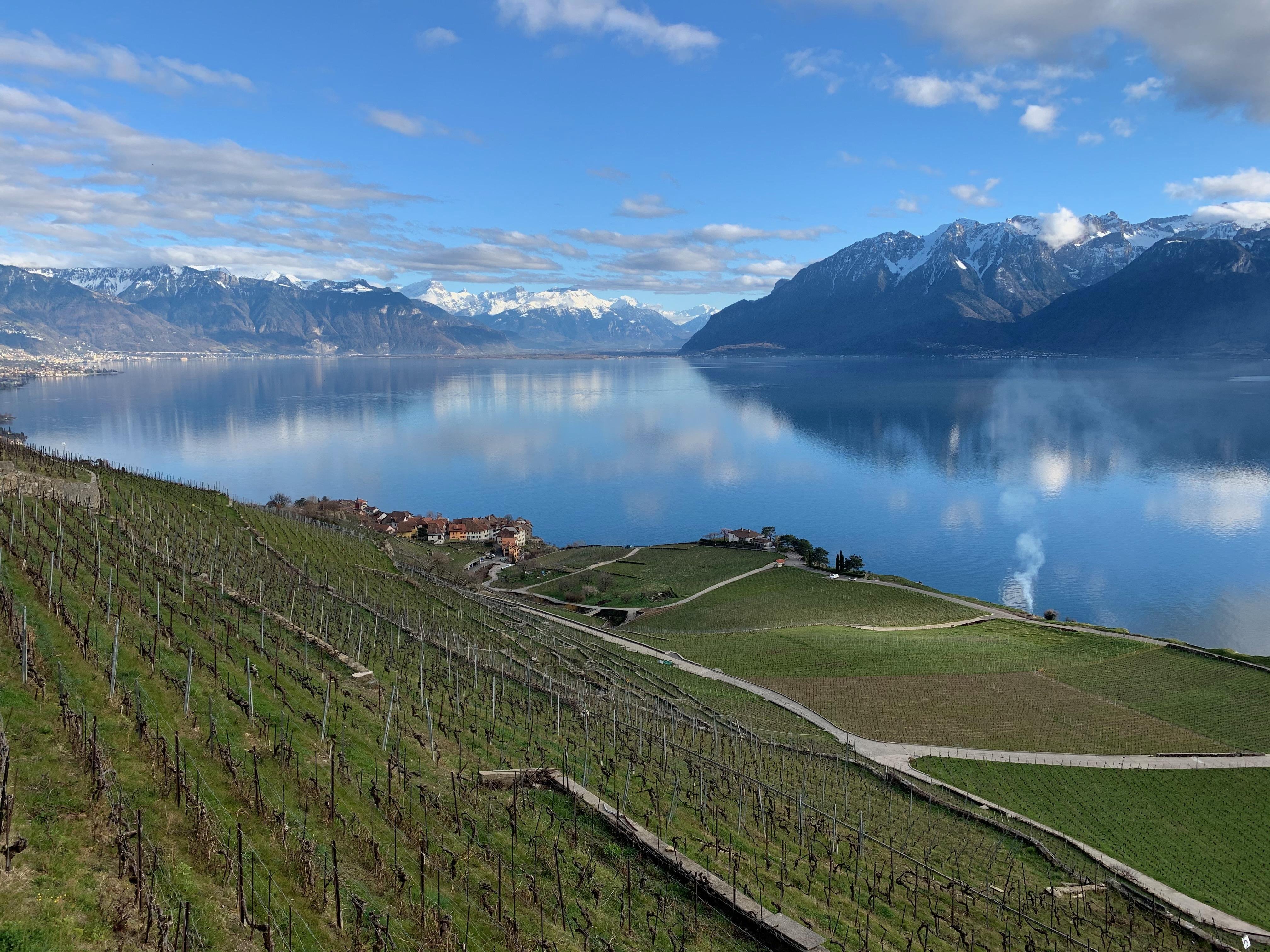 Lavaux Vineyard Terraces UNESCO Site Walking Tour