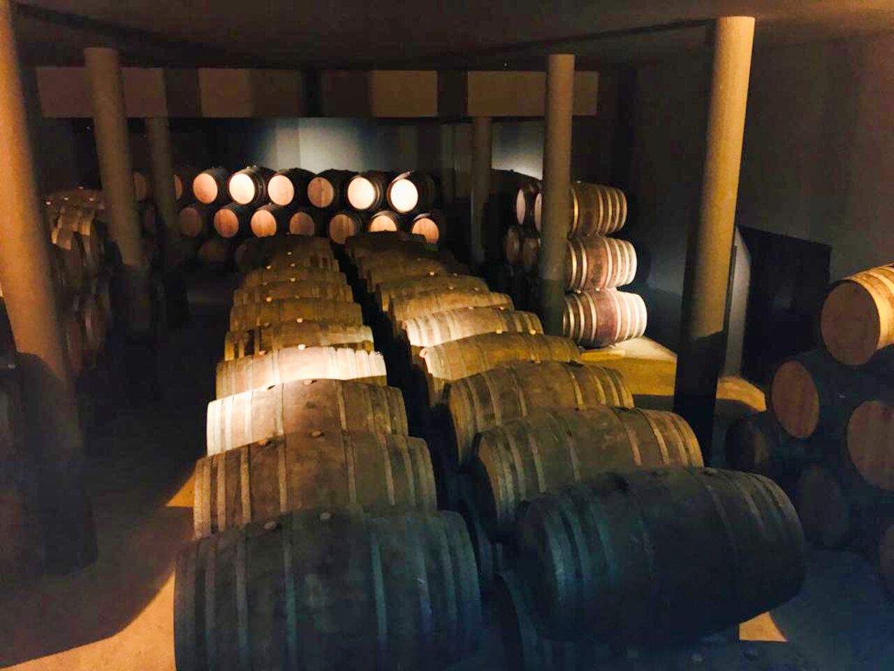 Douro Valley Small-Group Wine & River Cruise Day Trip from Porto