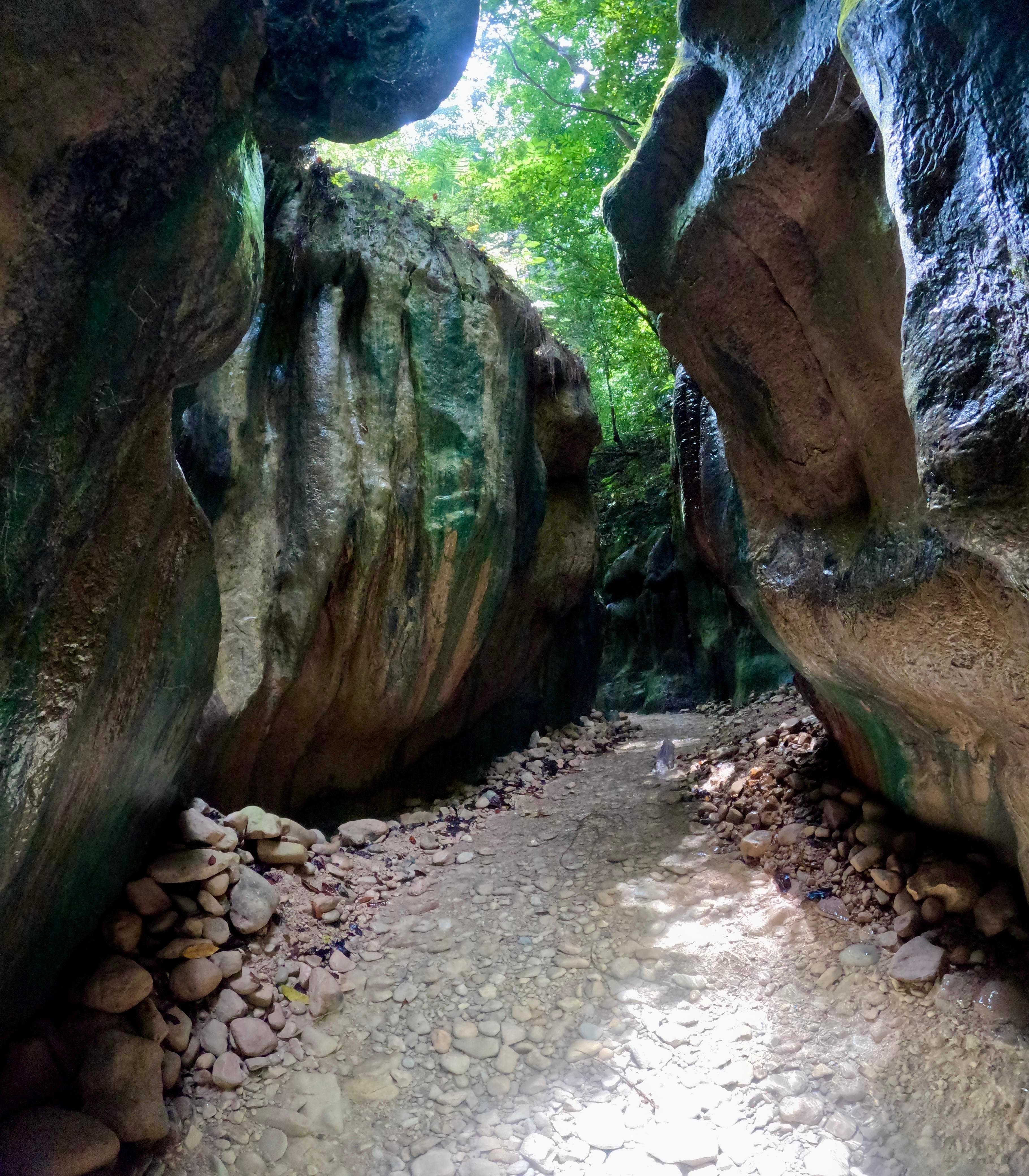 27 Waterfalls of Damajagua Adventure & Dominican Lunch