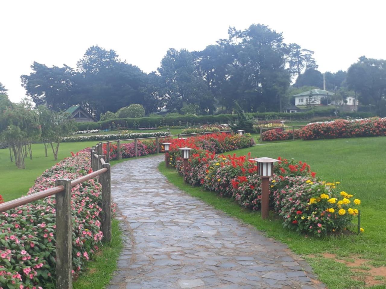 Kandy to Ella Private Scenic Transfer with Train Experience