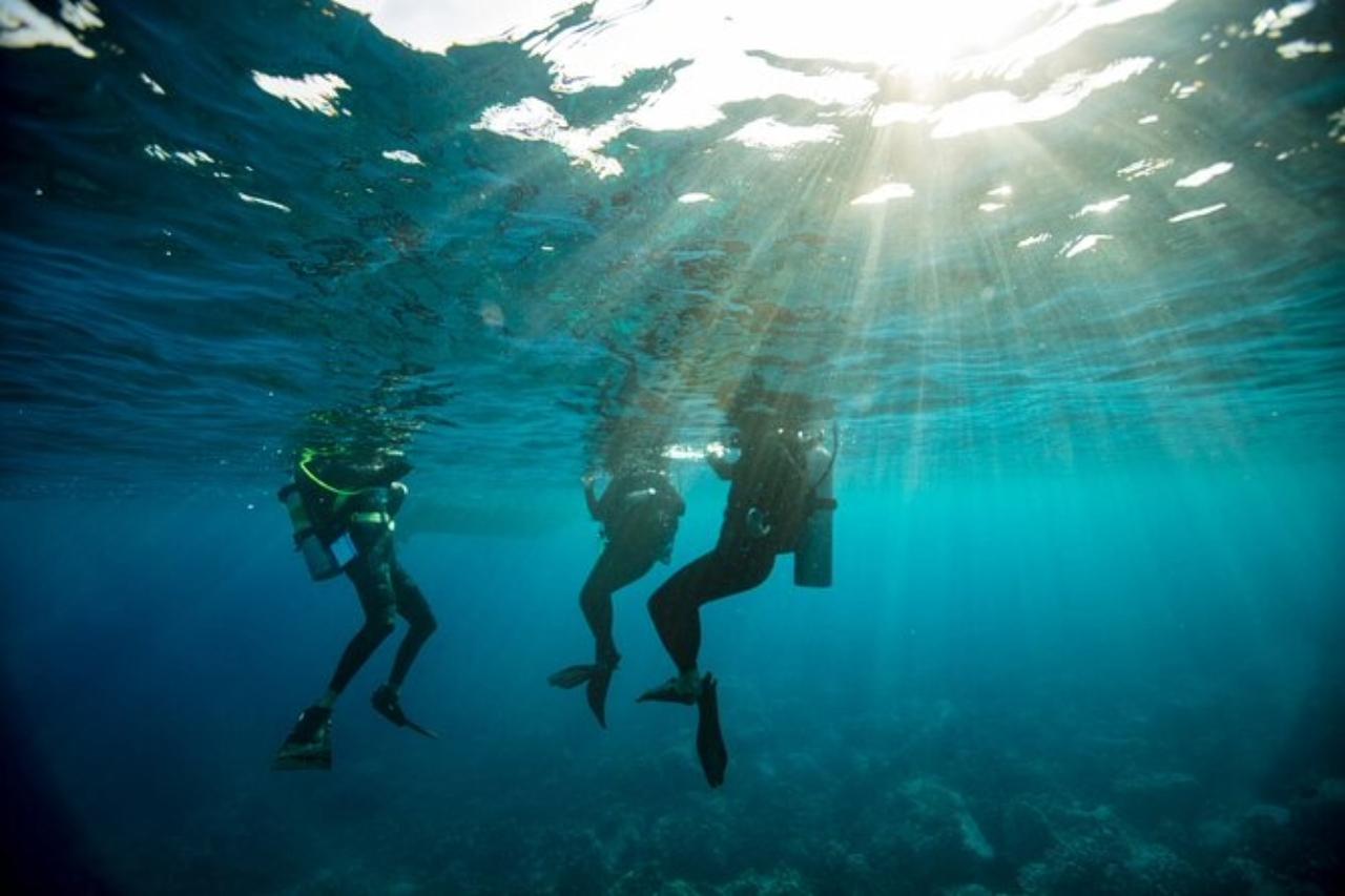 Introductory Scuba Dive at Bondi Beach