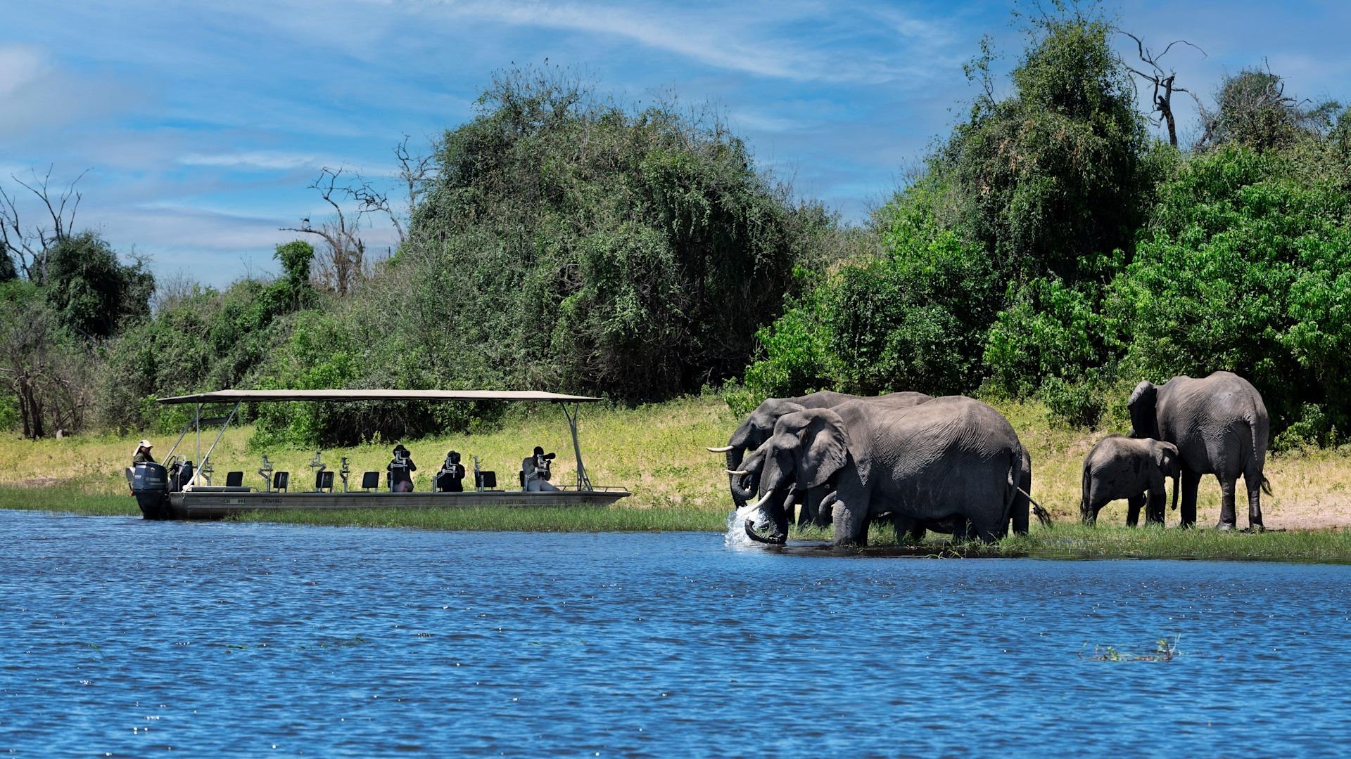 Chobe National Park Day Safari from Livingstone