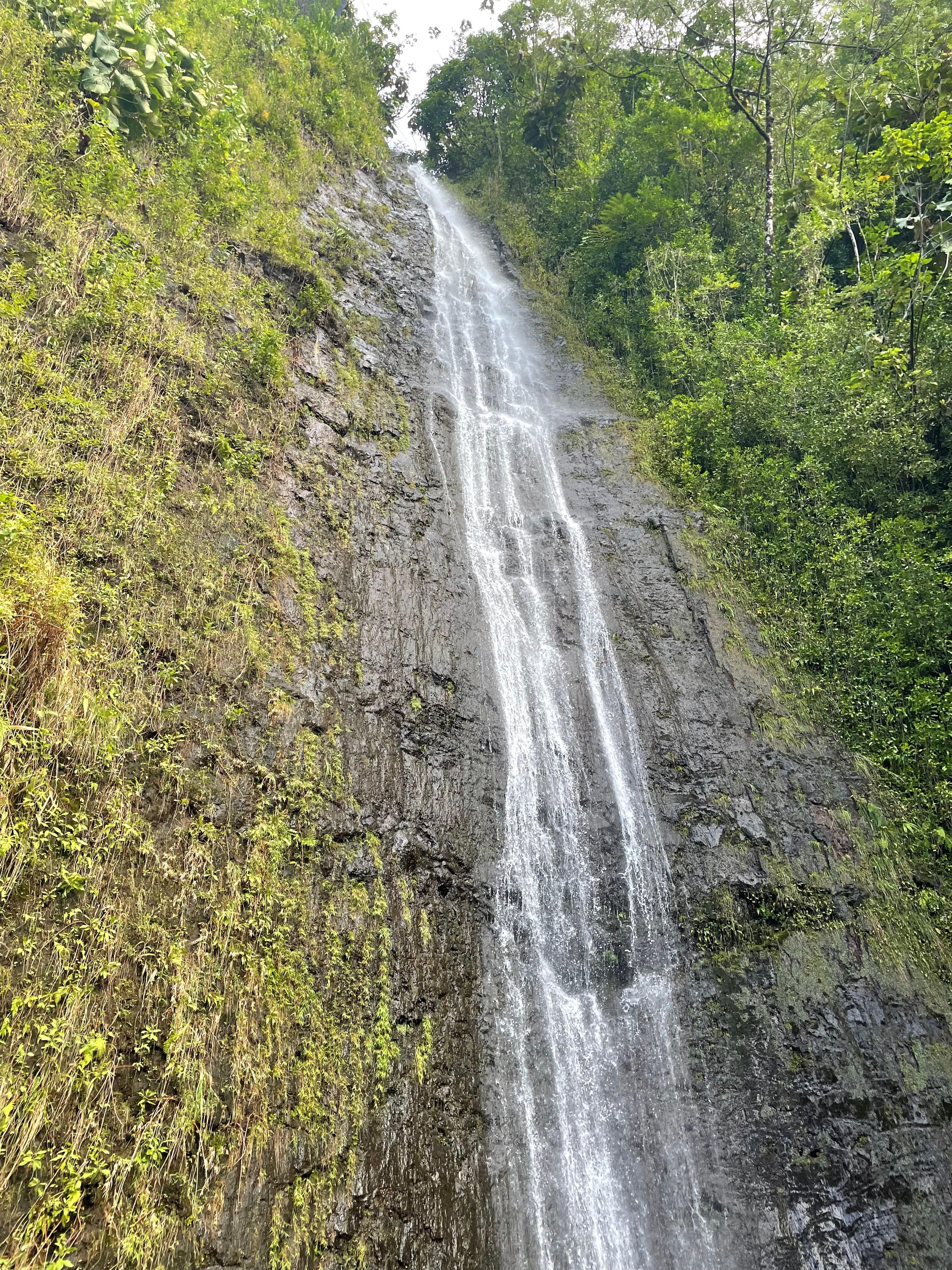 Oahu Manoa Falls Rainforest Hike & East Coast Beach Day
