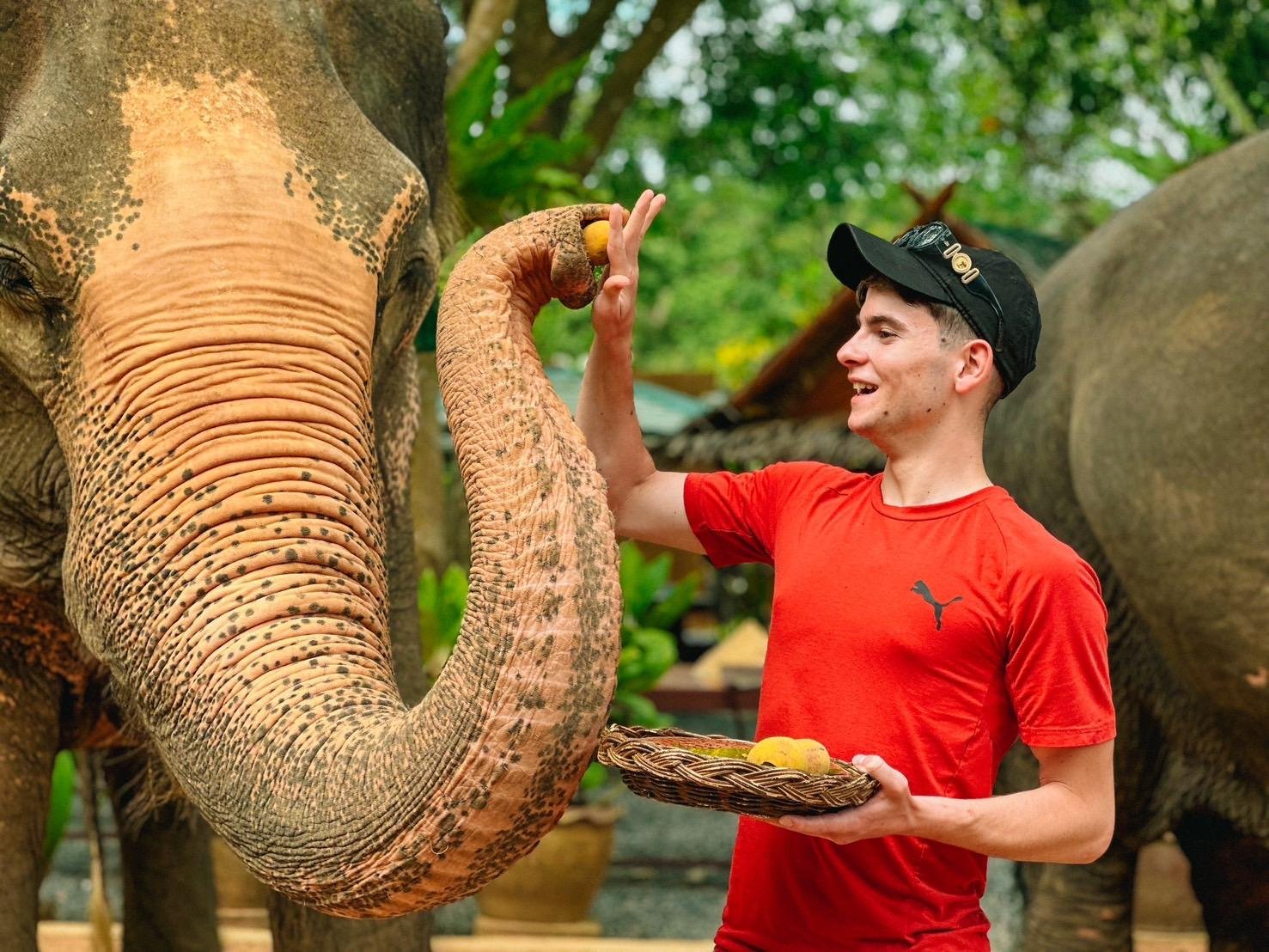 Samui Elephant Home: Ethical Sanctuary Visit & Conservation