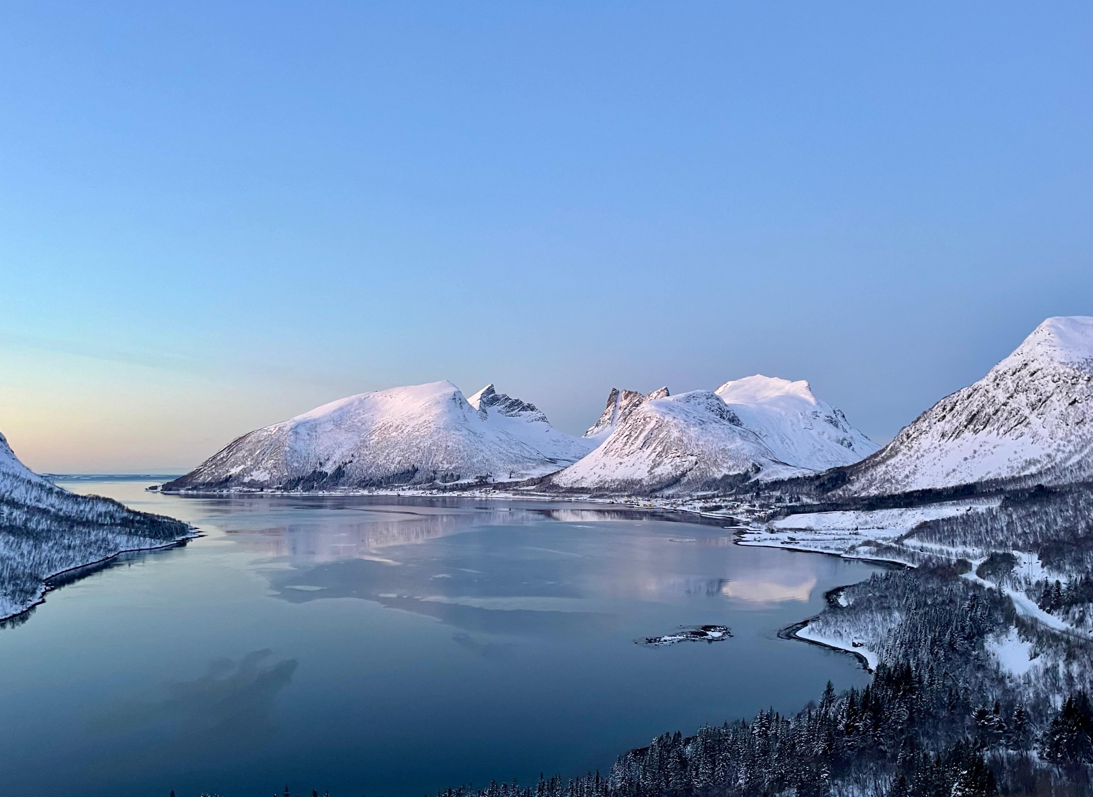Senja Island Discovery Tour with Local Expert