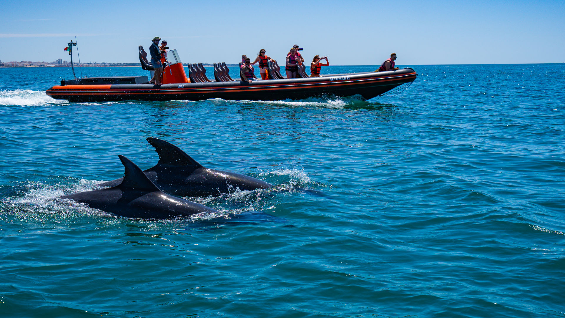 Dolphin Safari & Sea Cave Exploration from Vilamoura