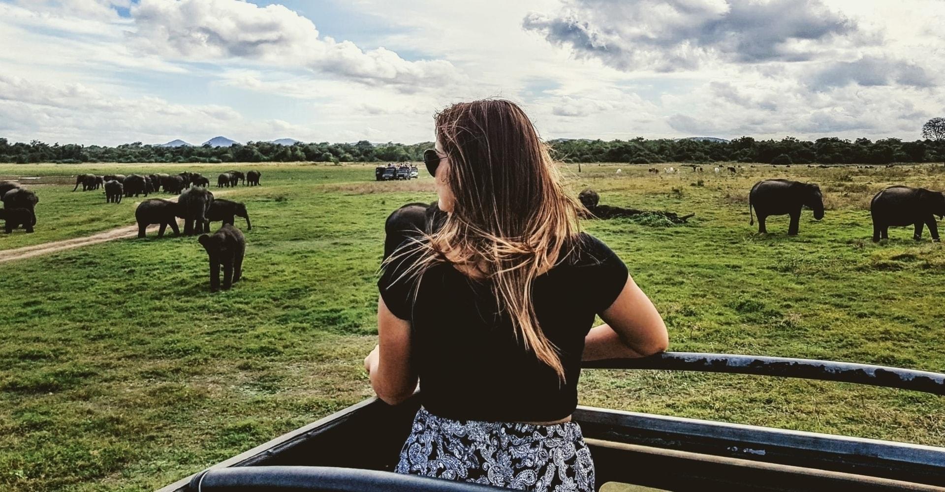 Yala National Park Safari Expedition