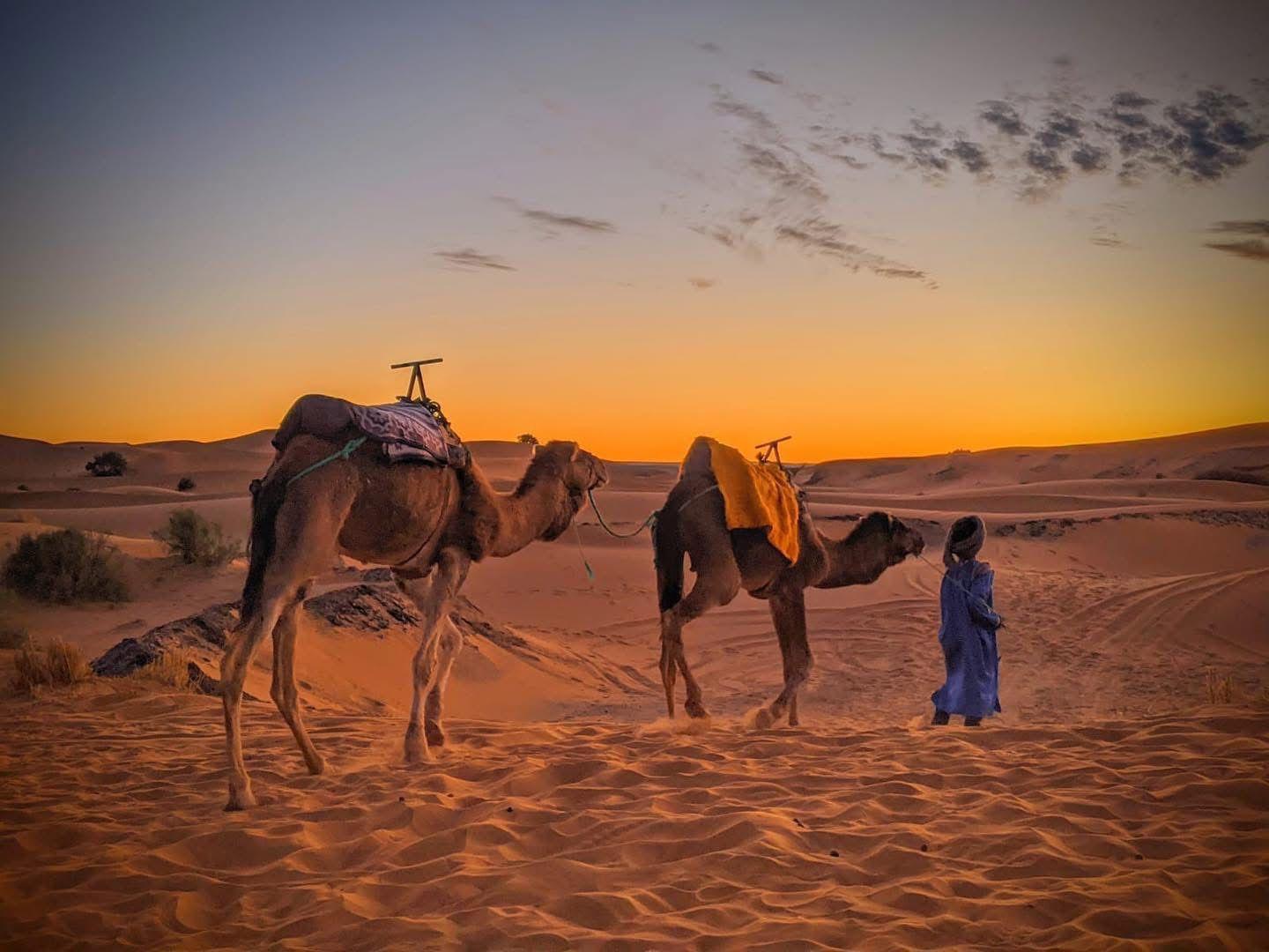 10-Day Private Luxury Moroccan Desert & City Discovery