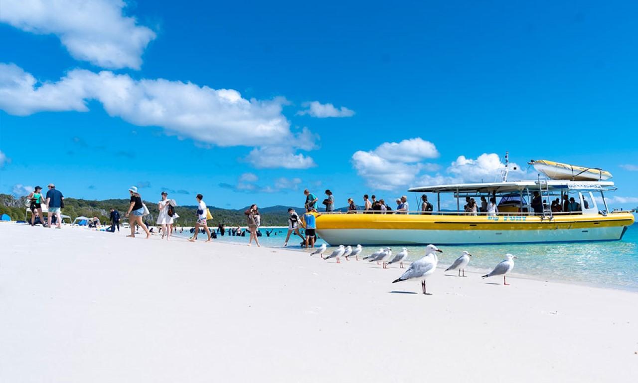 Whitsundays Full-Day: Whitehaven Beach, Hill Inlet & Reef Snorkel