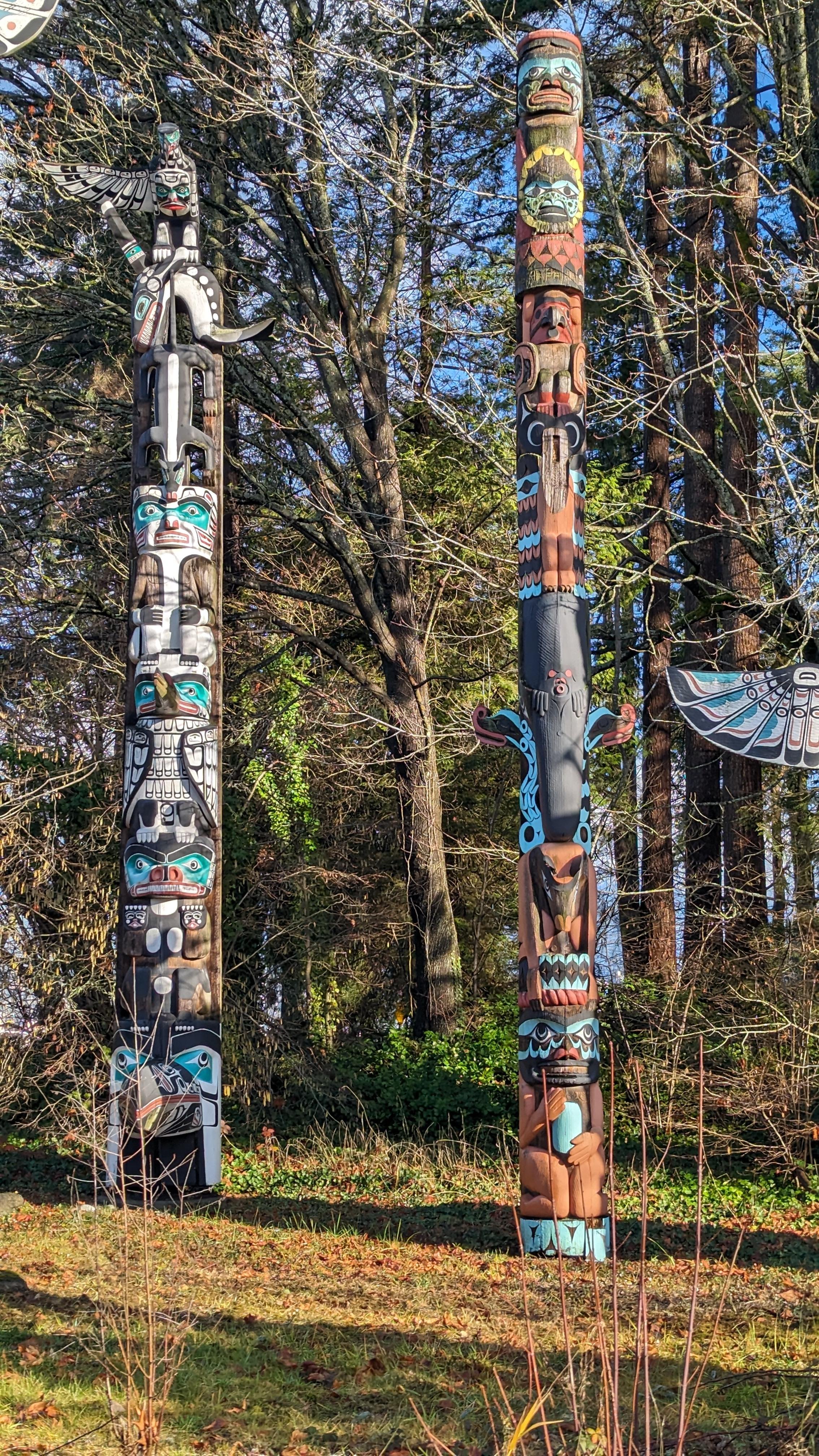 Vancouver North Shore & Capilano Canyon Lights Explorer