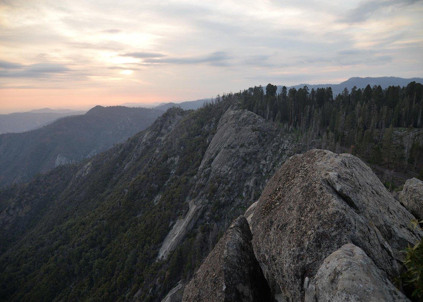 Private Sequoia & Kings Canyon Day Trip from Los Angeles