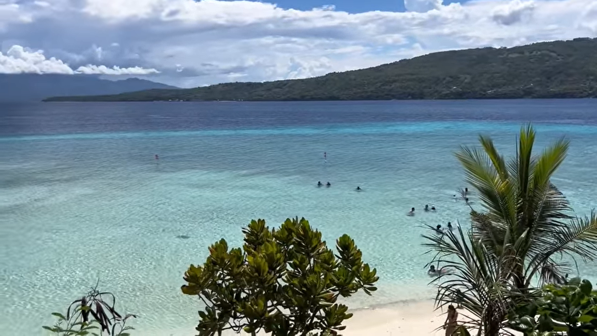 Oslob Triple Adventure: Whale Sharks, Tumalog Falls & Sumilon Island