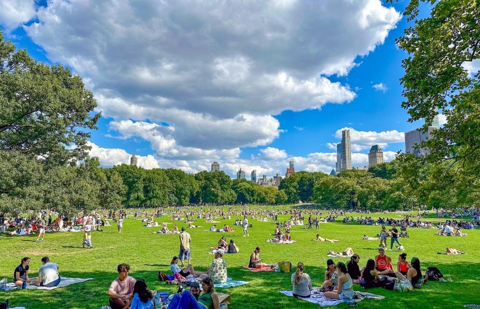 NYC Central Park Guided Pedicab Experience