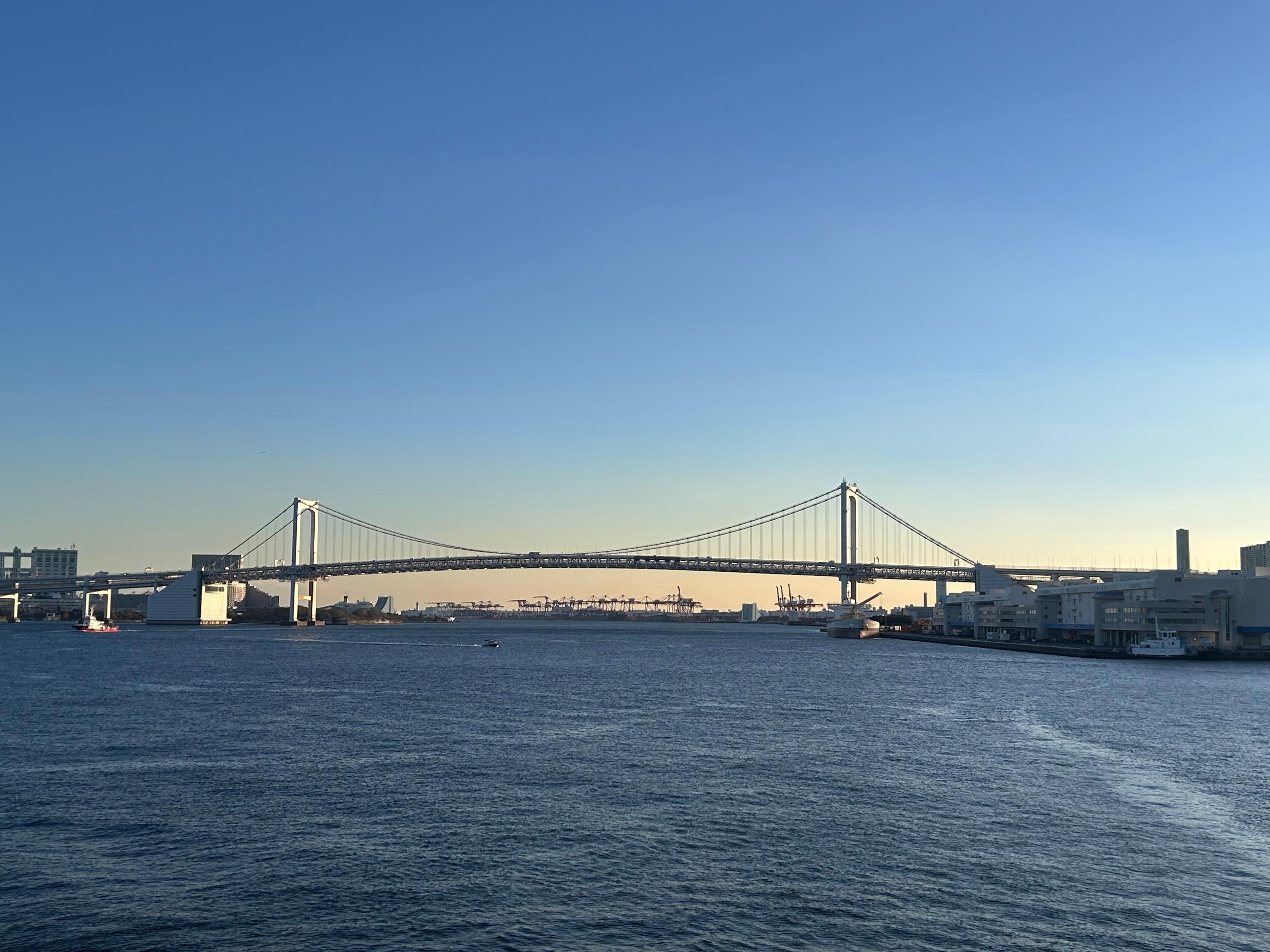 Dynamic Tokyo Full-Day Tour: Tea Ceremony, Buffet Lunch & Bay Cruise