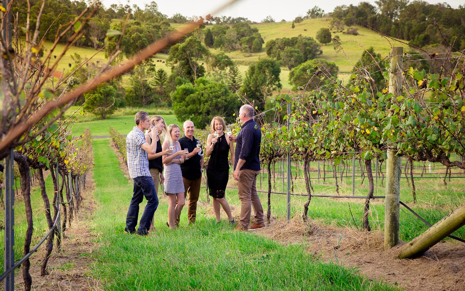 Hinterland Vineyard Tour with 4-Course Degustation