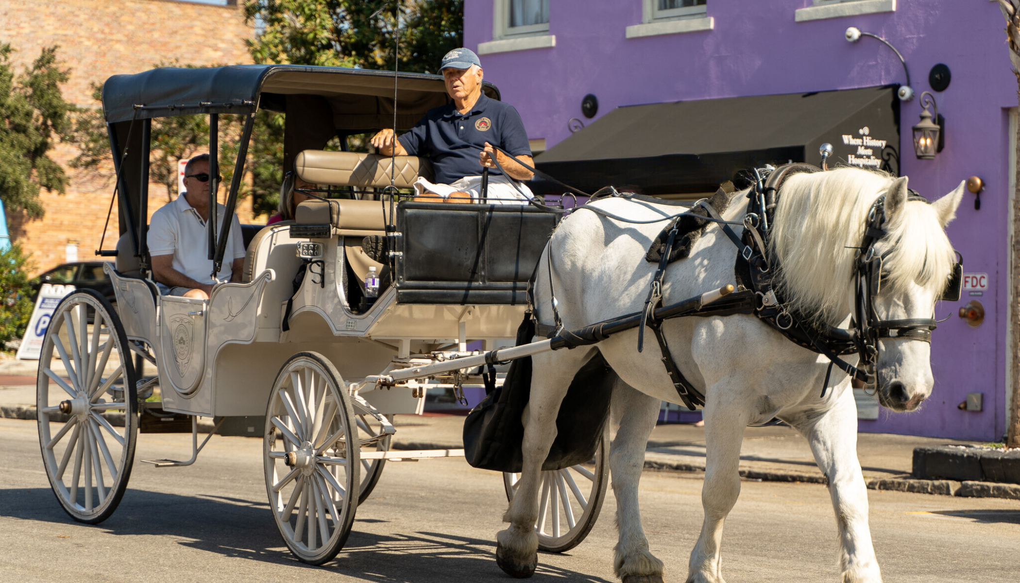 Private Horse-Drawn Carriage Ride Through Historic Charleston