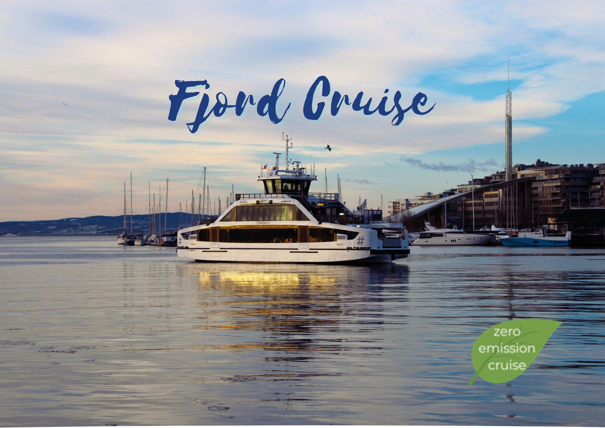 Electric Oslofjord Sightseeing Cruise