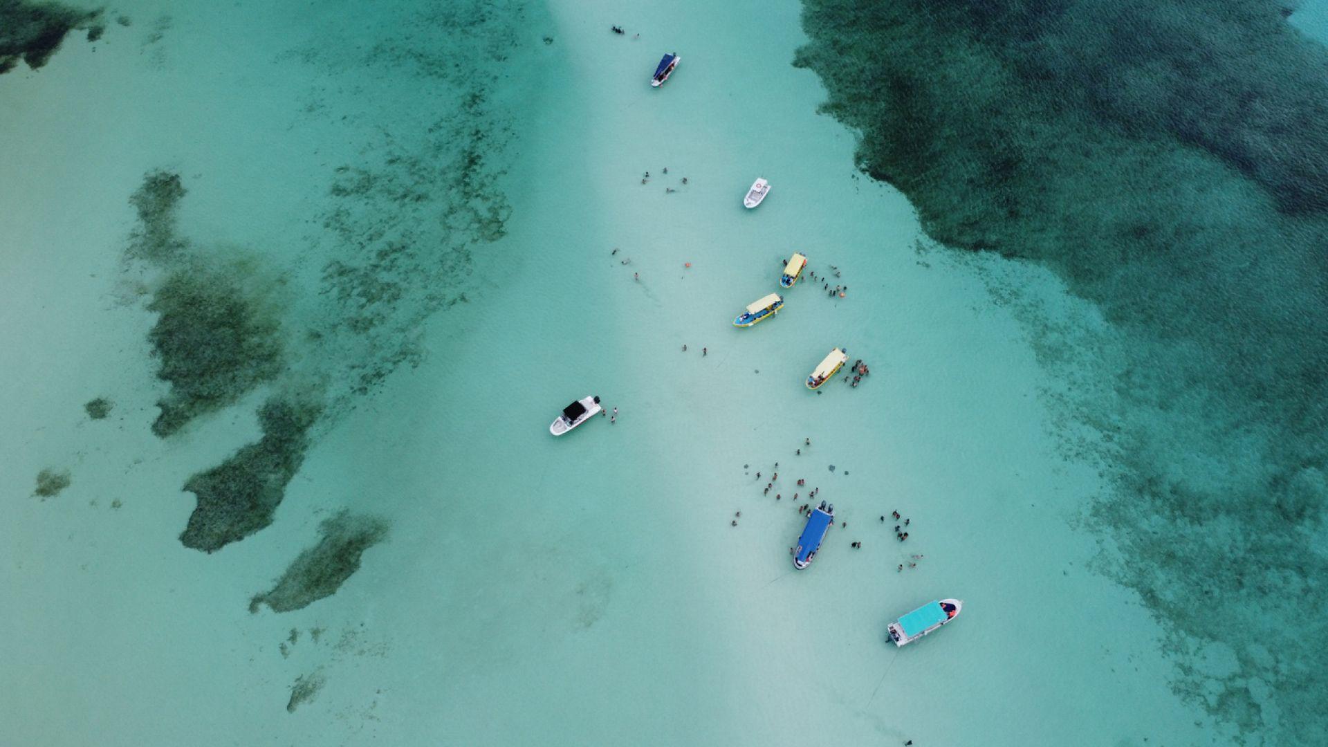 El Cielo Snorkel Adventure with Reefs & Sea Turtles