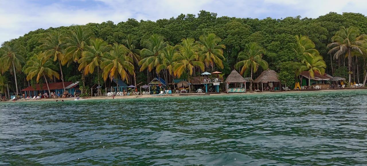 Playa Estrella Starfish Beach & Mangrove Boat Tour