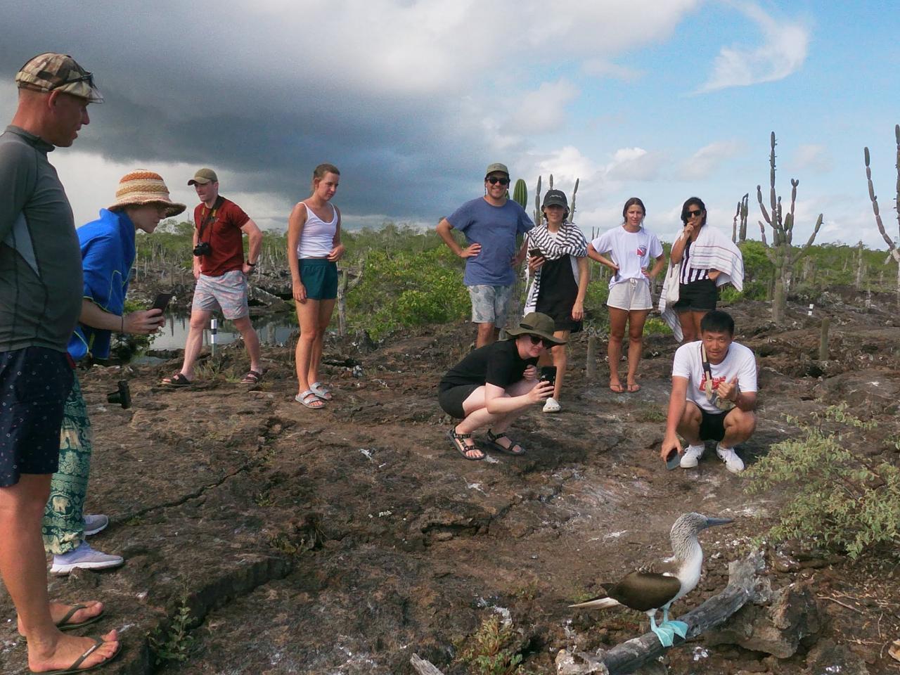 Los Tuneles Lava Formations & Snorkeling
