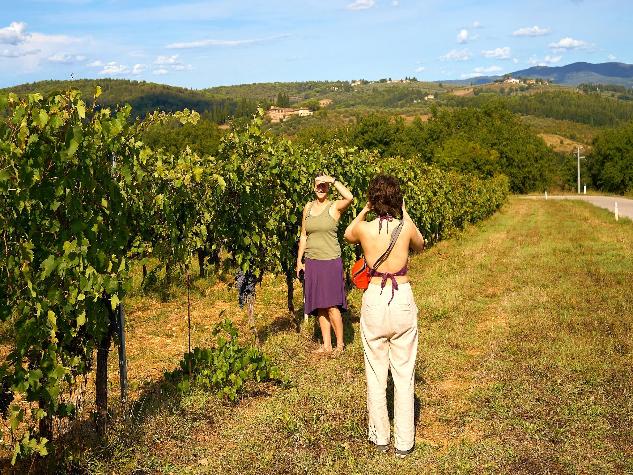olive oil tasting in Tuscany — photo 30