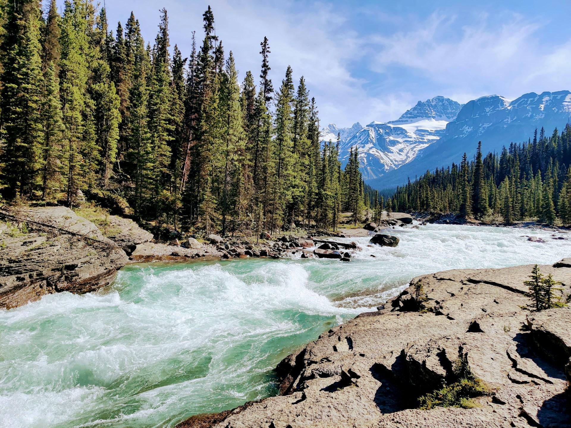 Banff: Lake Louise, Emerald, Moraine Lake and Yoho Tour - 2026 (Verified Reviews)