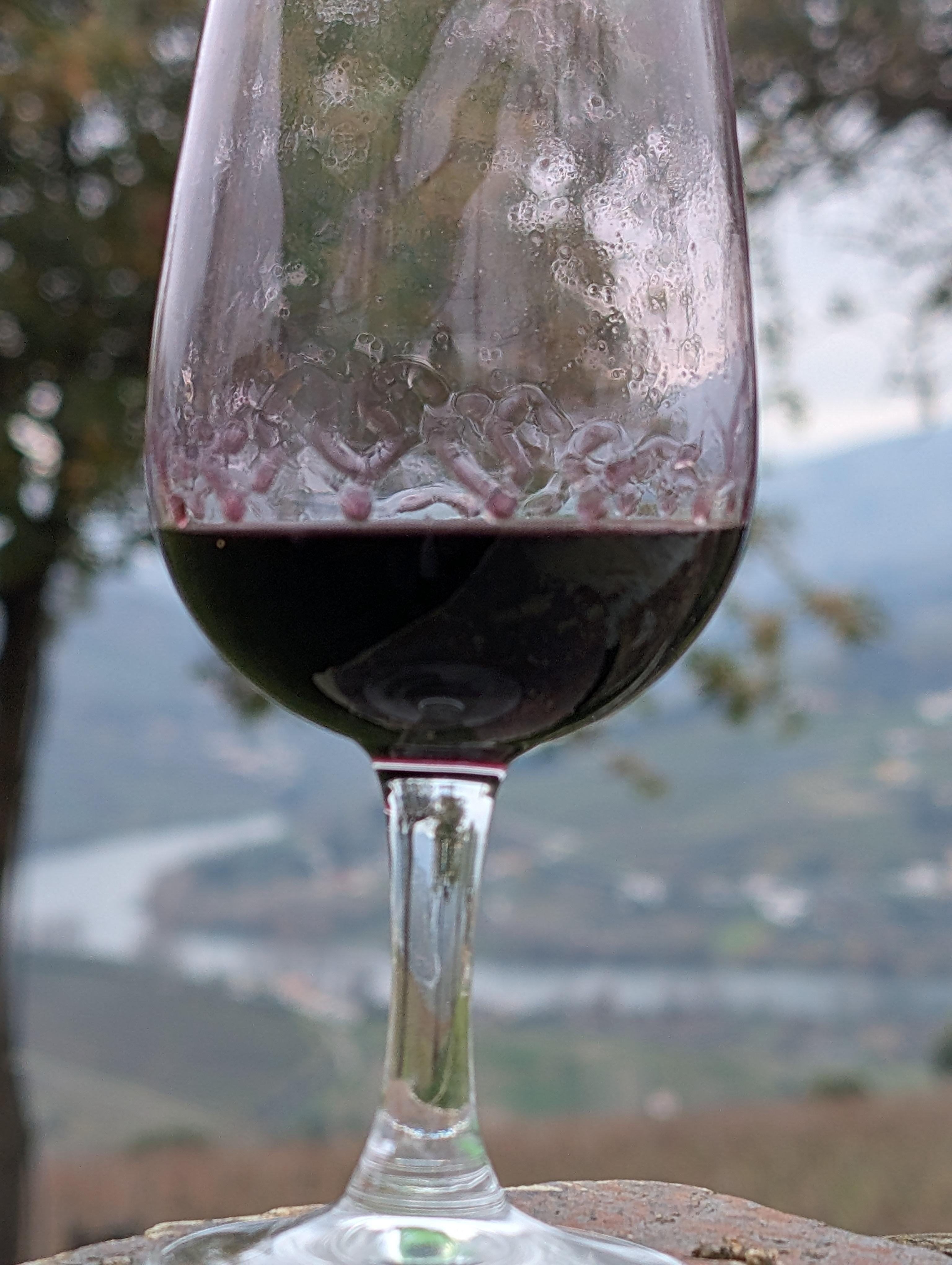 Porto: Douro Valley & Vinho Verde Day Tour with Tastings, Lunch & Boat Cruise