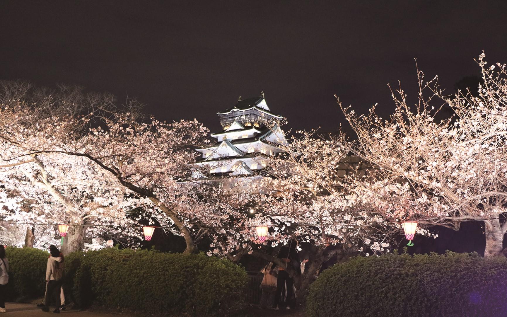 Osaka experience, image 5