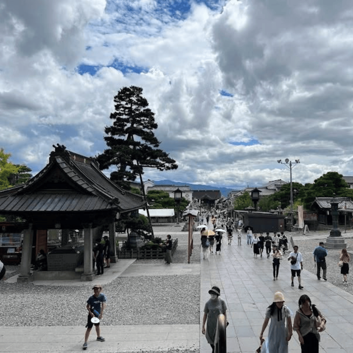 Nagano Snow Monkeys & Temples Private Full-Day Tour from Tokyo or Nagano