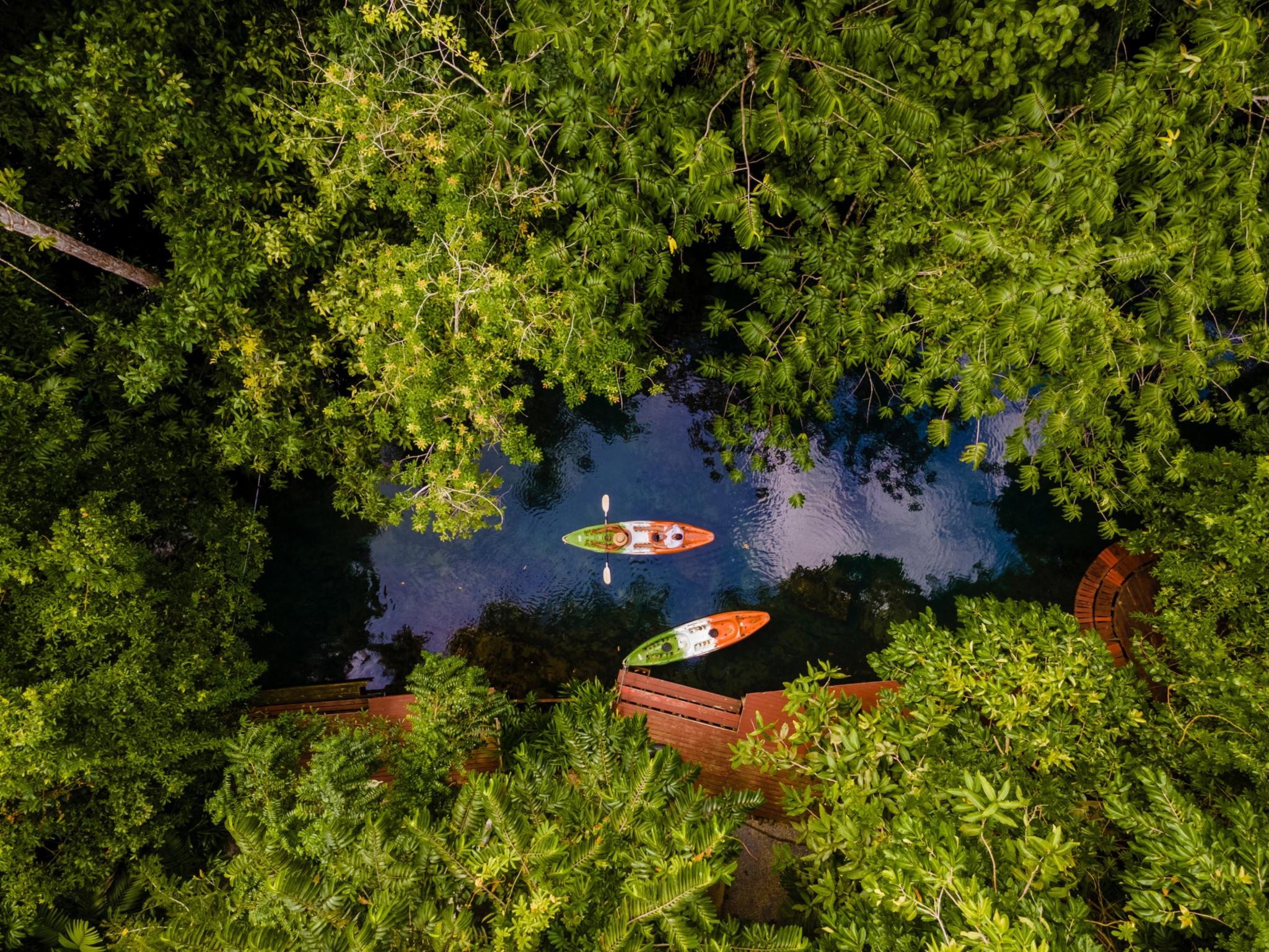 Ao Thalane Mangrove Kayak Adventure – Krabi