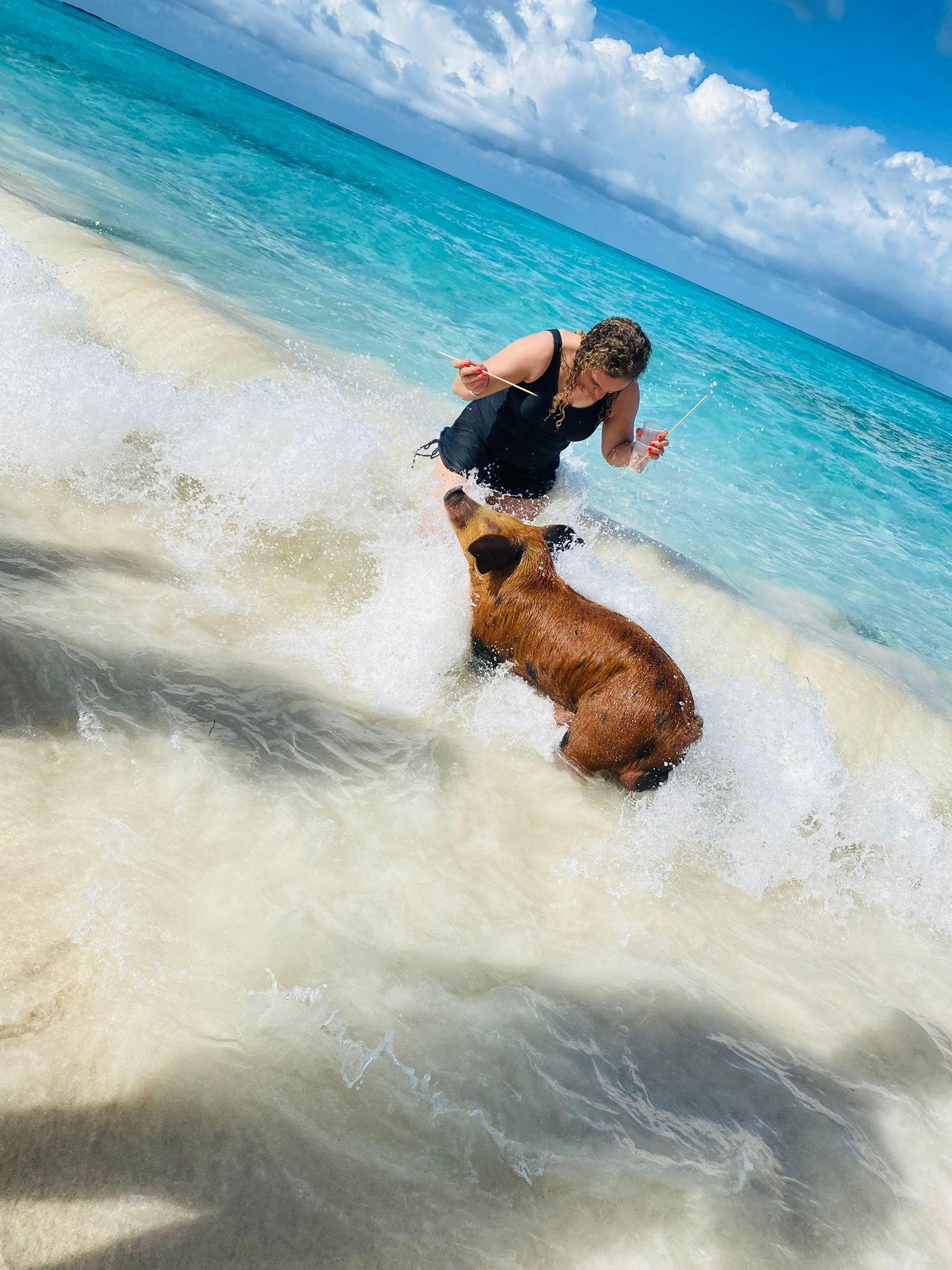 Nassau 3-Island Speedboat Adventure: Pigs, Turtles & Snorkeling