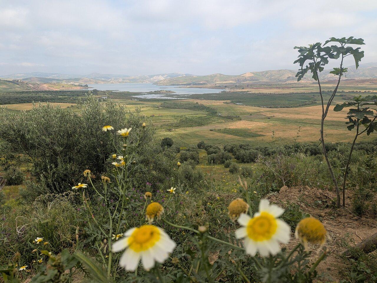 Fes to Volubilis, Moulay Idriss & Meknes Full-Day Tour
