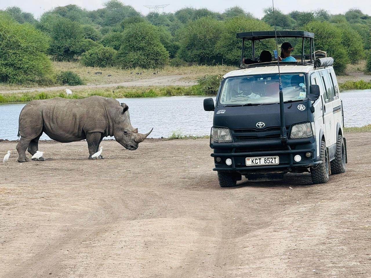 Nairobi National Park 5-Hour 4x4 Wildlife Safari
