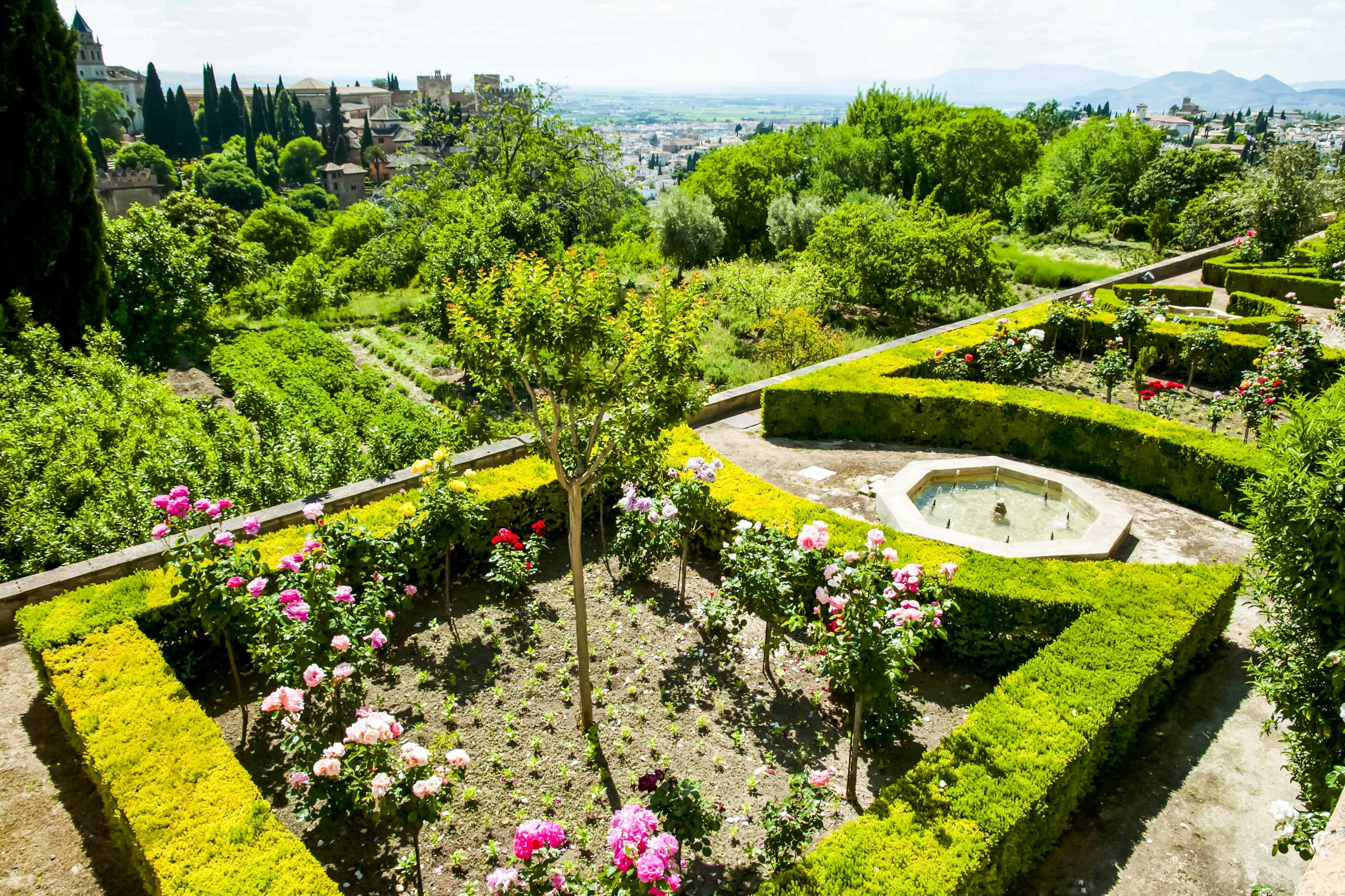 Alhambra and Generalife guided tour in Granada — image 20