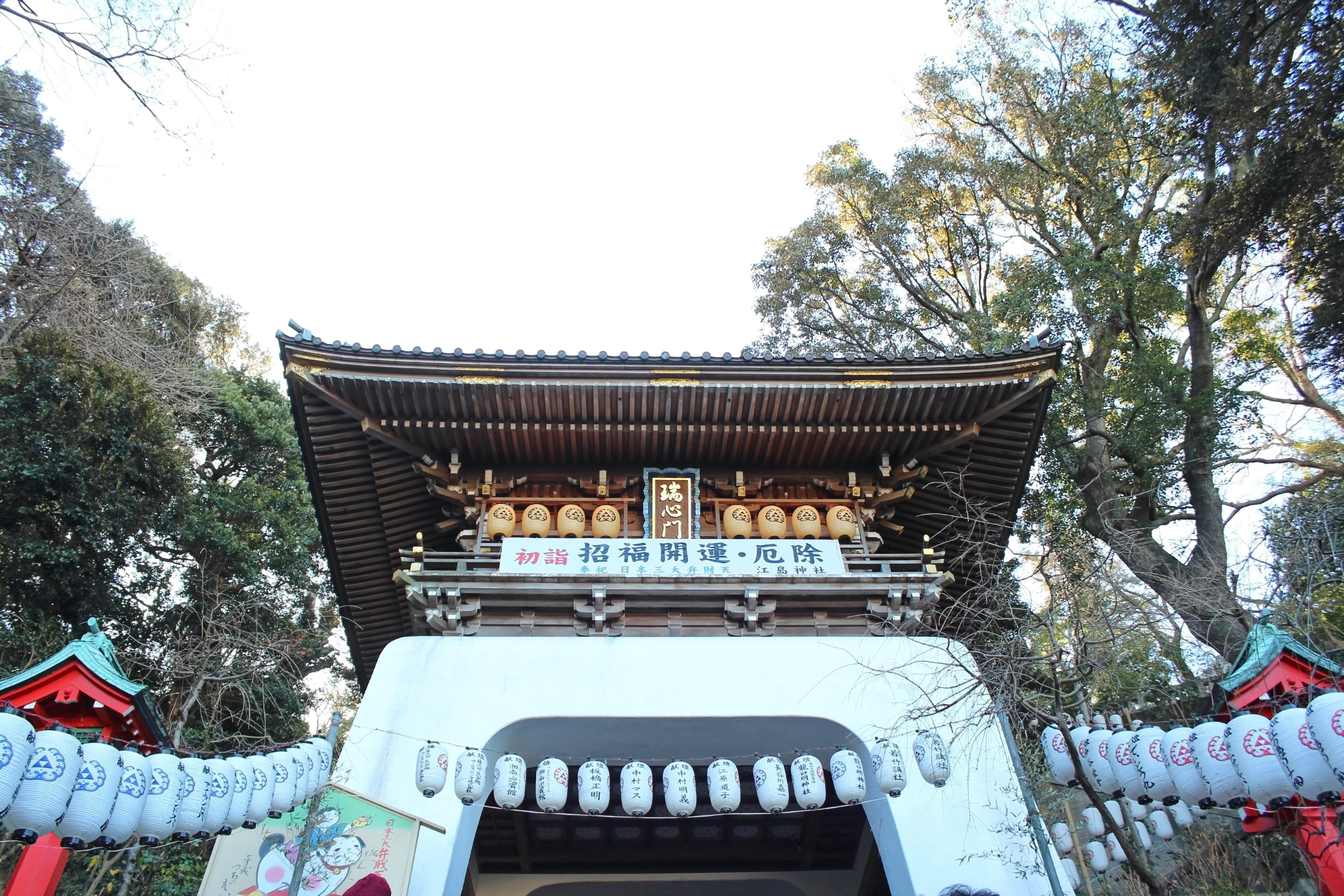 Hakone & Enoshima Day Tour: Ropeway, Pirate Ship & Mt. Fuji Views