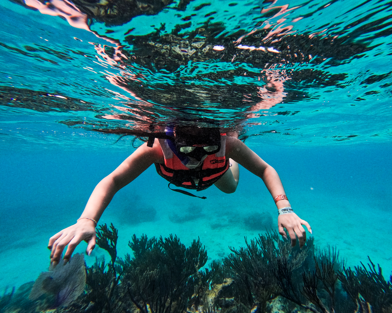 Tulum Reef Snorkeling: Two Sites in Two Hours