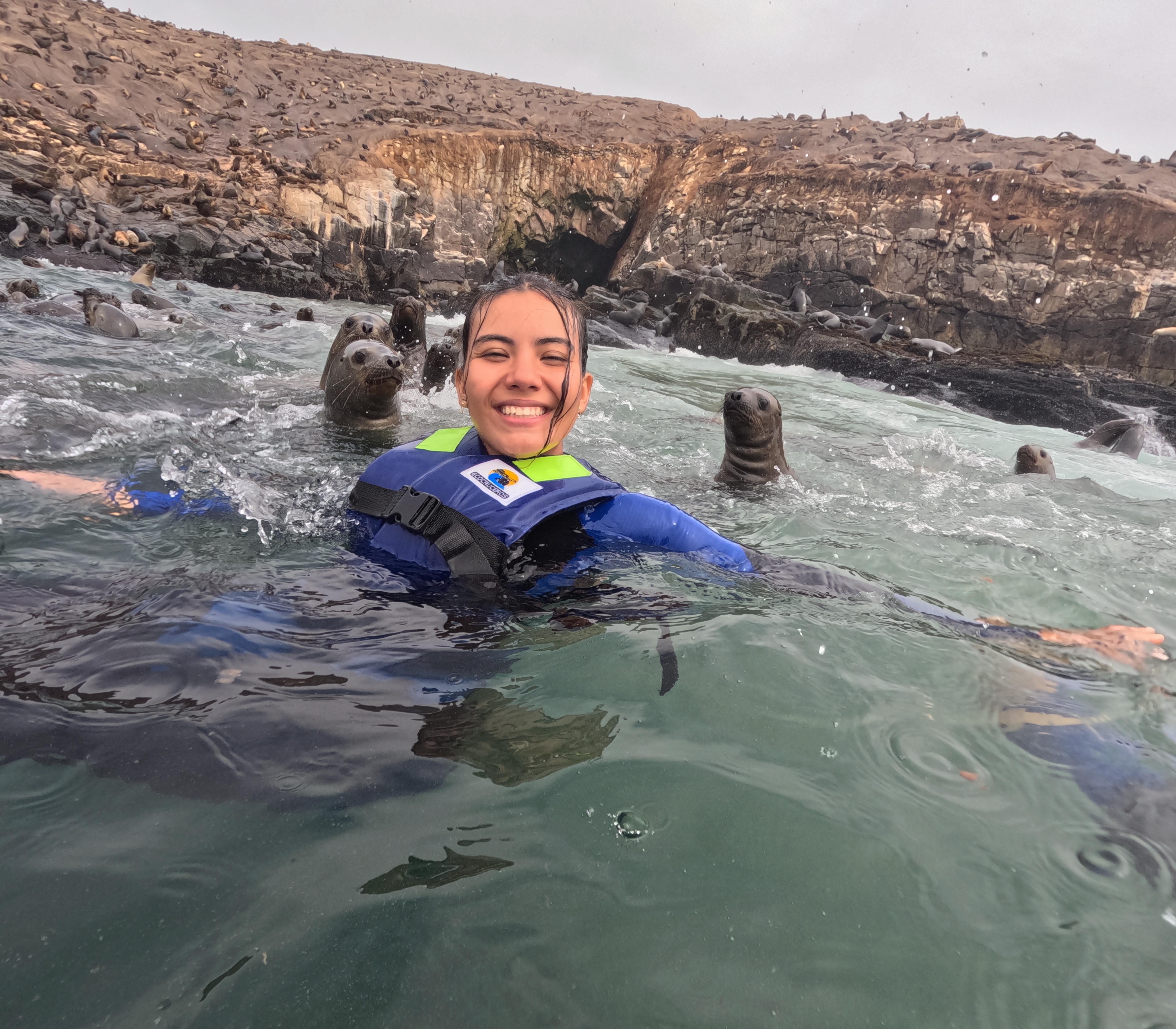 Palomino Islands Yacht Adventure & Sea Lion Swim