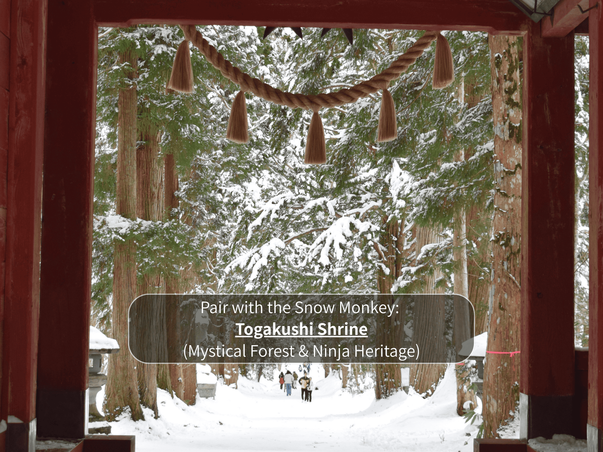 Nagano Snow Monkeys & Hidden Gems Private Day Tour