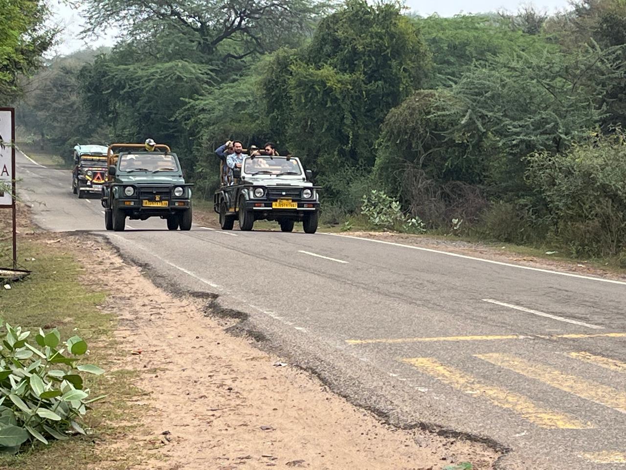 2-Day Ranthambore Tiger Safari from Delhi