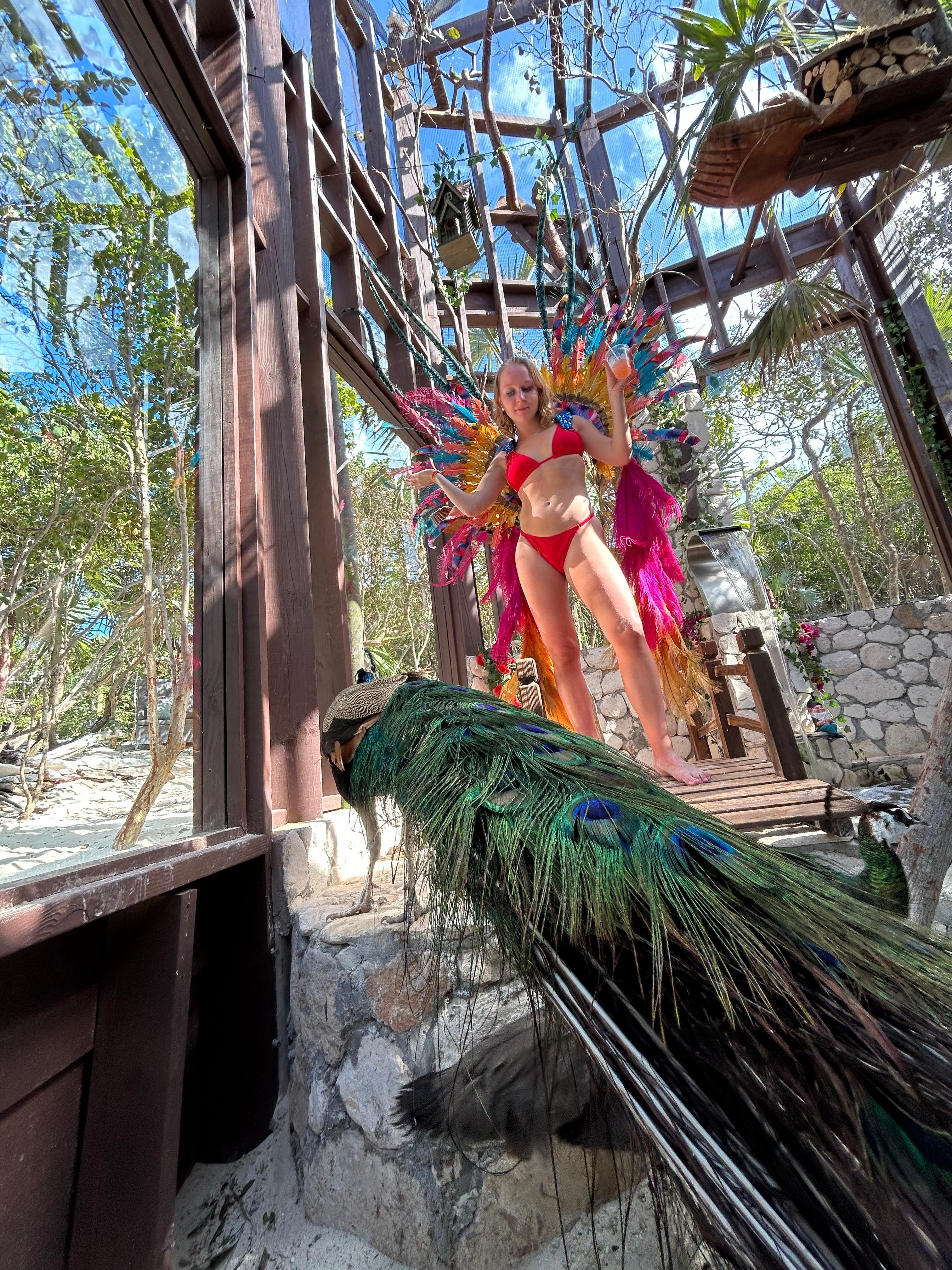 Nassau Powerboat Adventure: Snorkeling, Turtles & Private Beach Club
