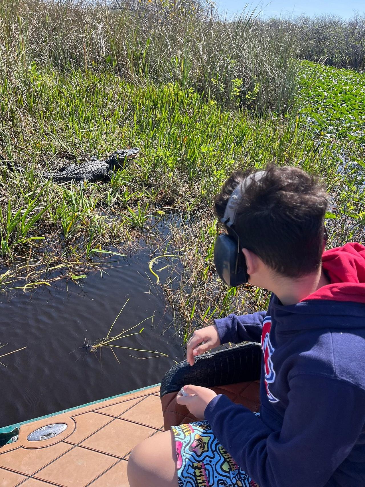Everglades: Semi-Private or Private Airboat Tour