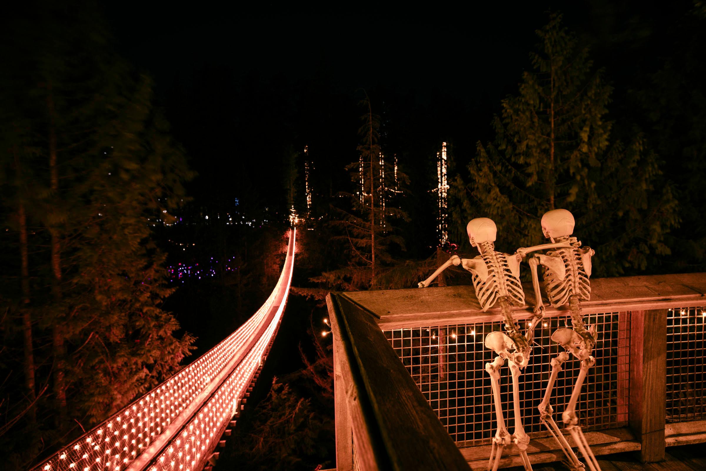 Vancouver North Shore & Capilano Canyon Lights Explorer