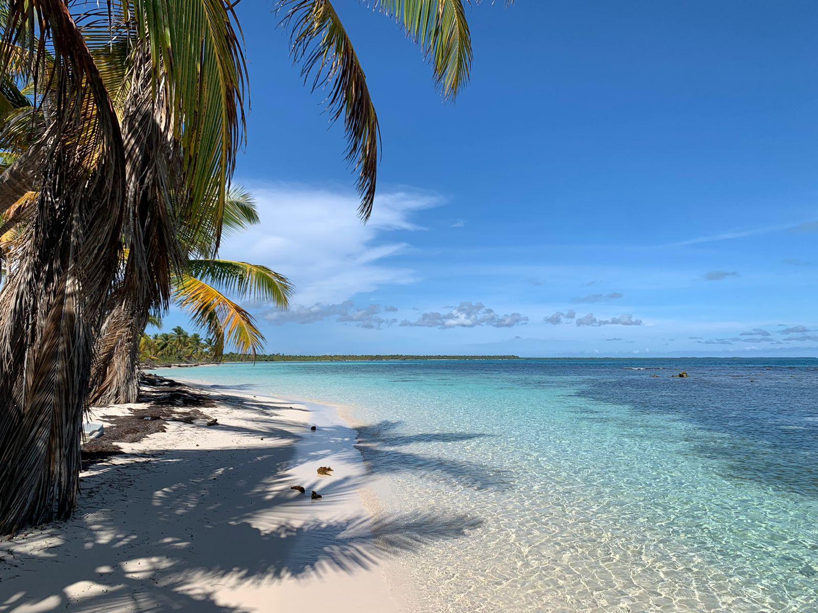 Punta Cana: Saona Island Escape by Catamaran with Lunch & Open Bar