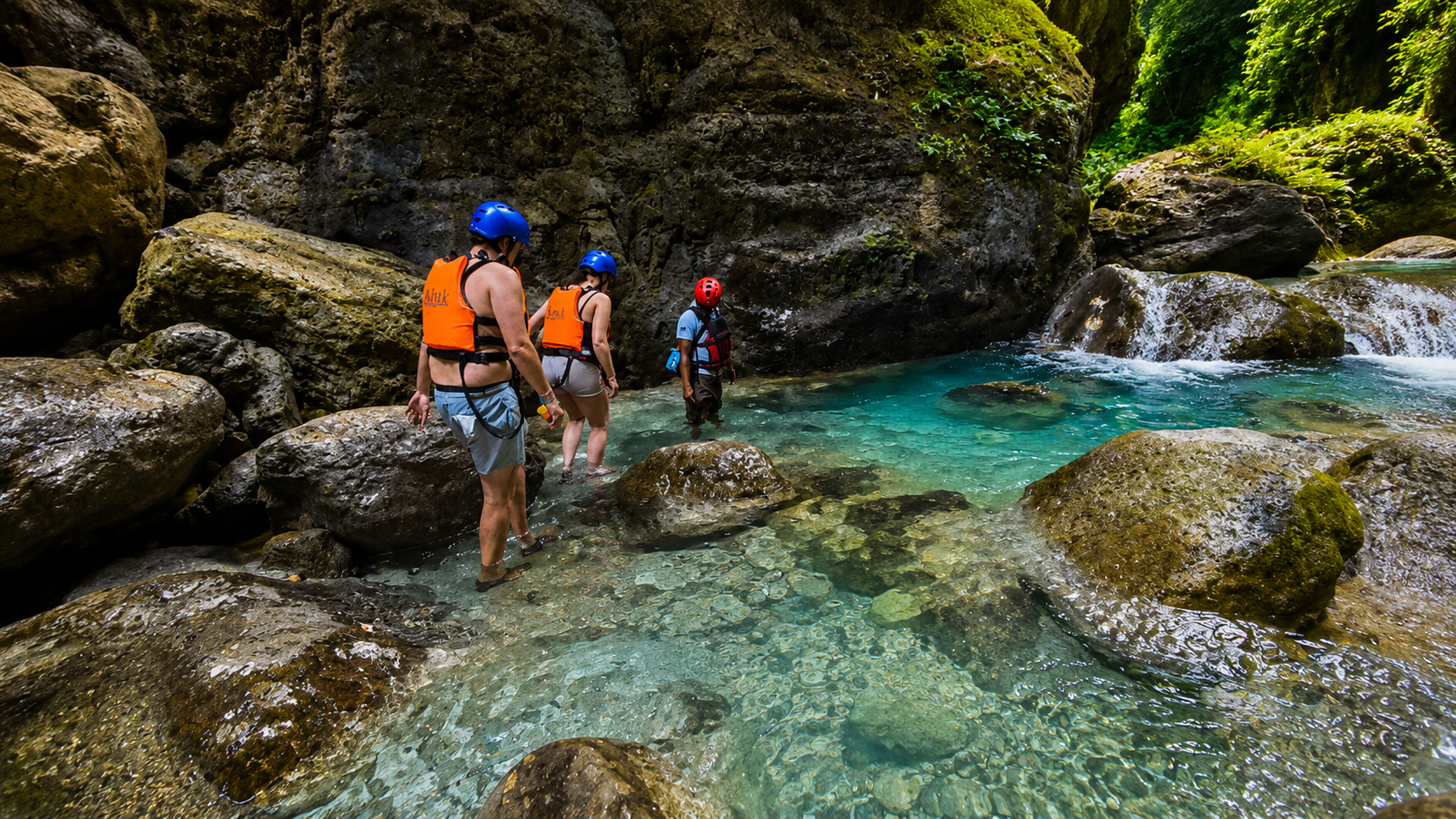 Cebu Whale Shark Swim & Kawasan Falls Canyoneering – Full-Day Adventure