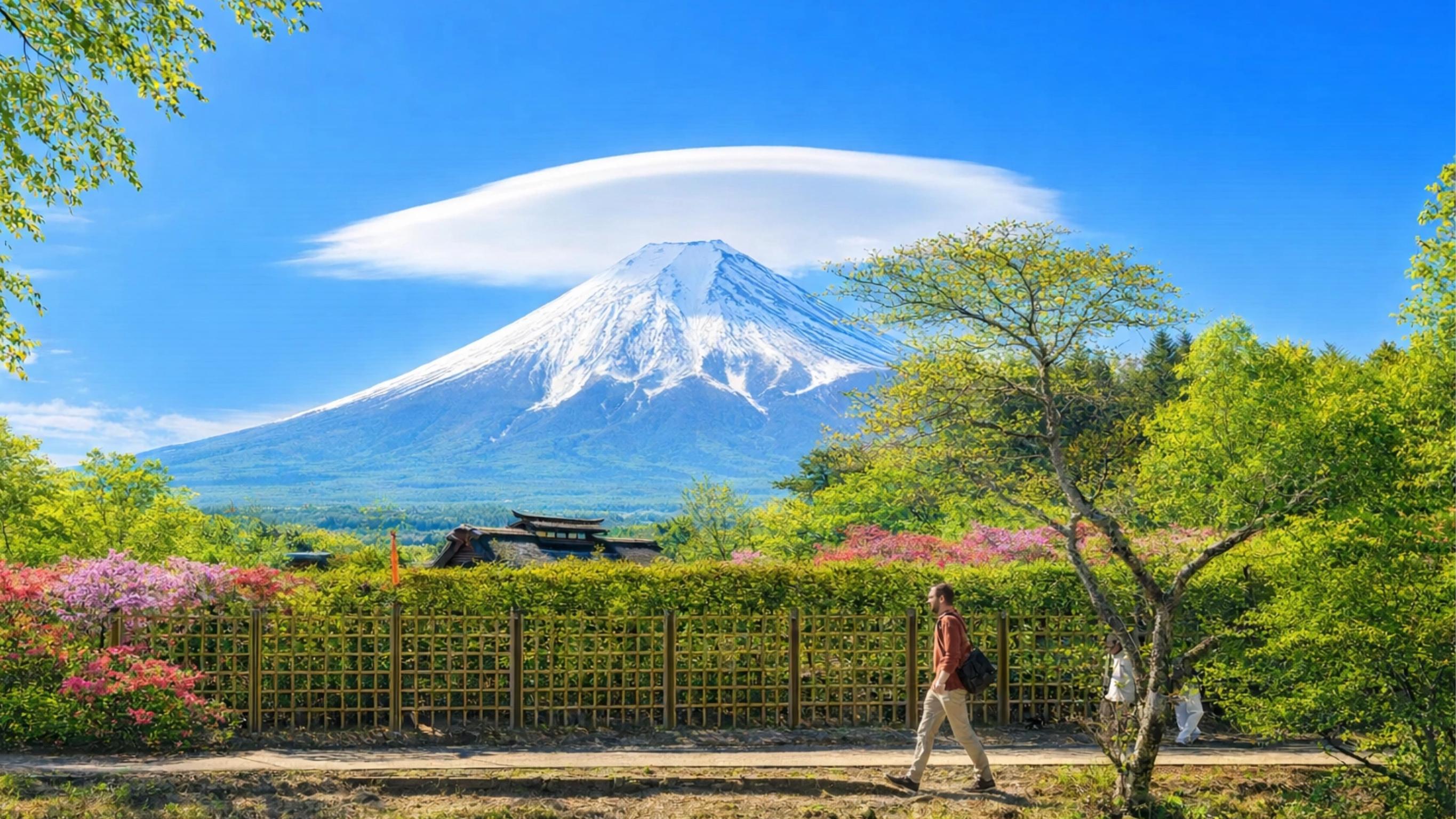Tokyo Day Trip: Mt. Fuji Six-Spot Photography & Culture Tour